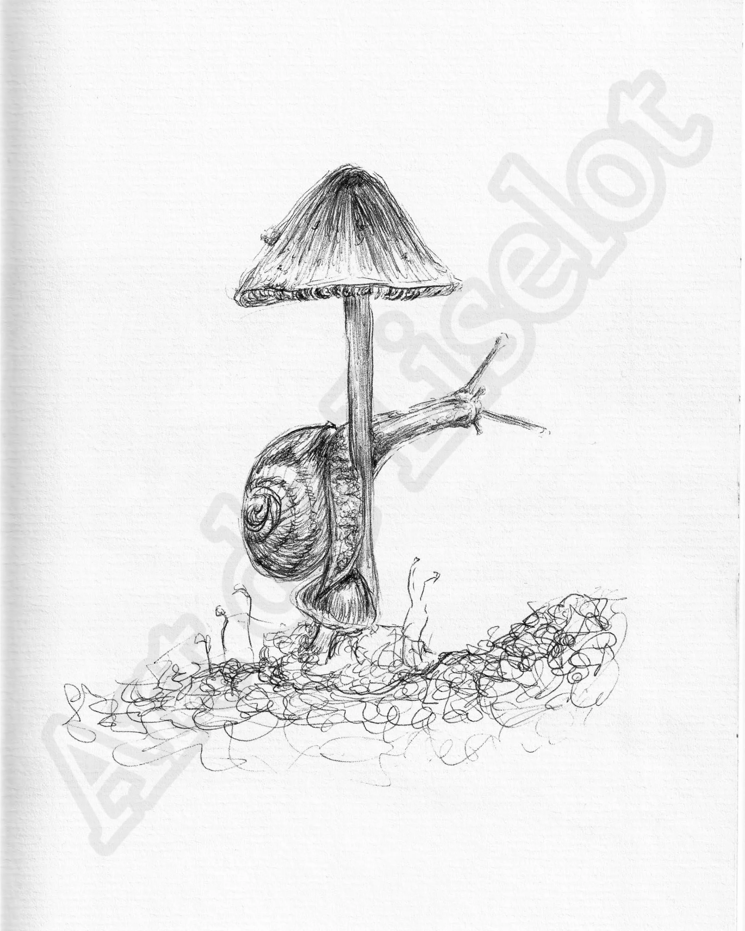 Project (20260304085801).jpg