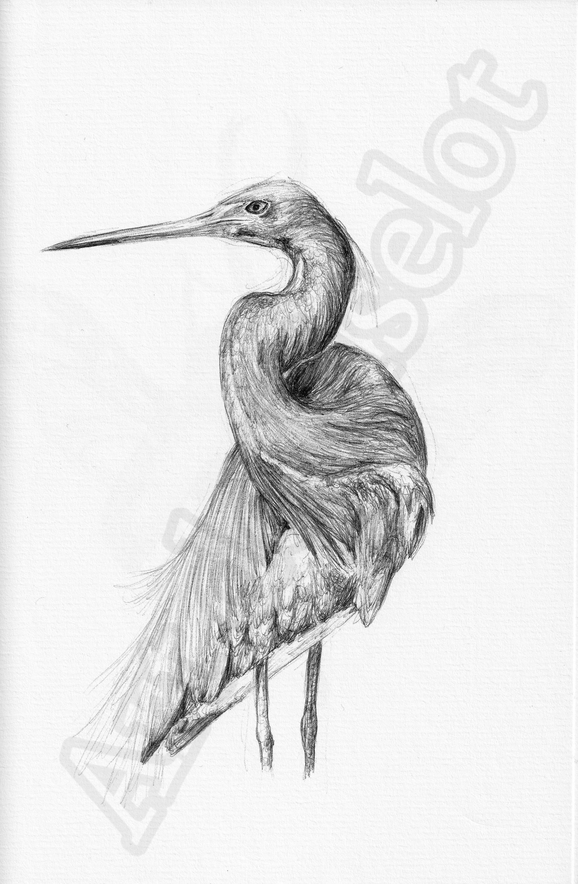 Project (20260303093927).jpg