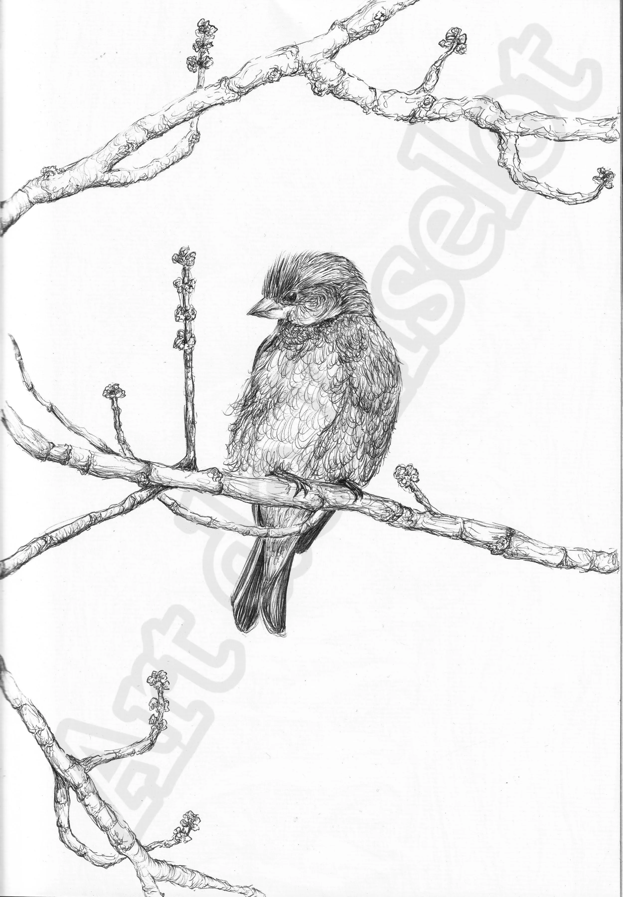 Project (20260304085208).jpg