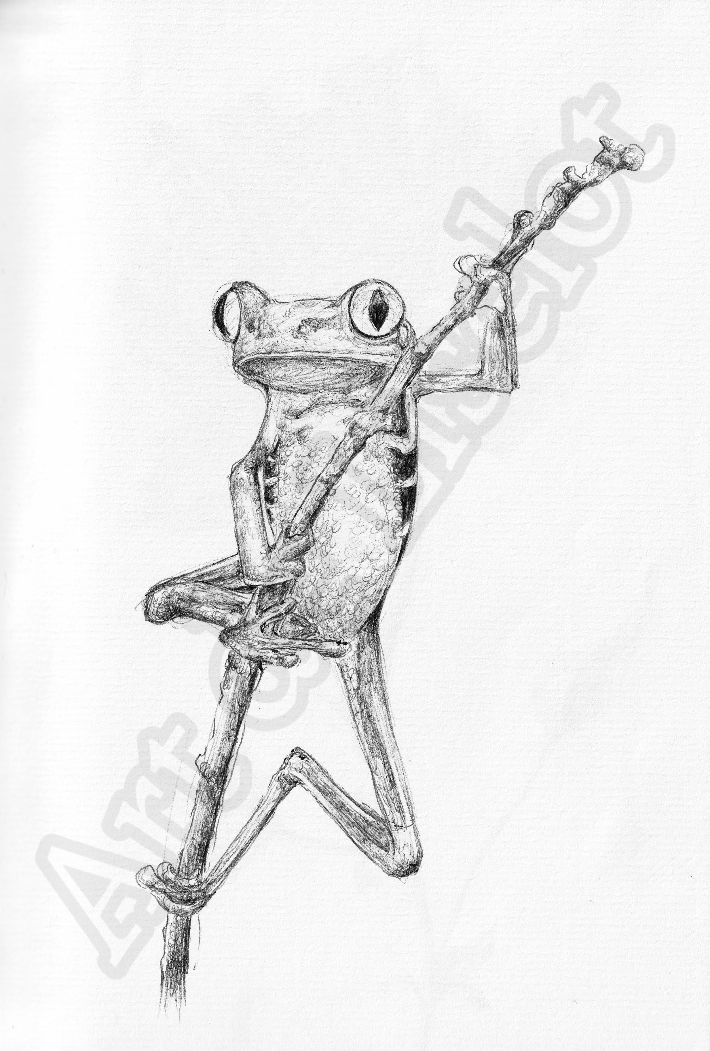 Project (20260303094608).jpg