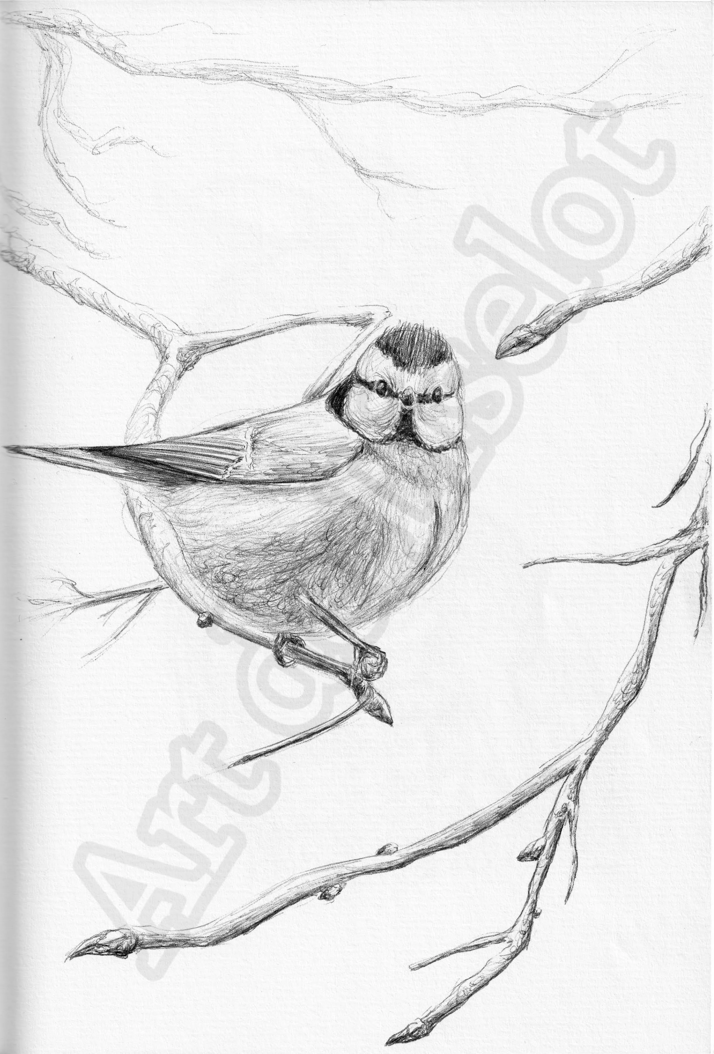 Project (20260303093346).jpg