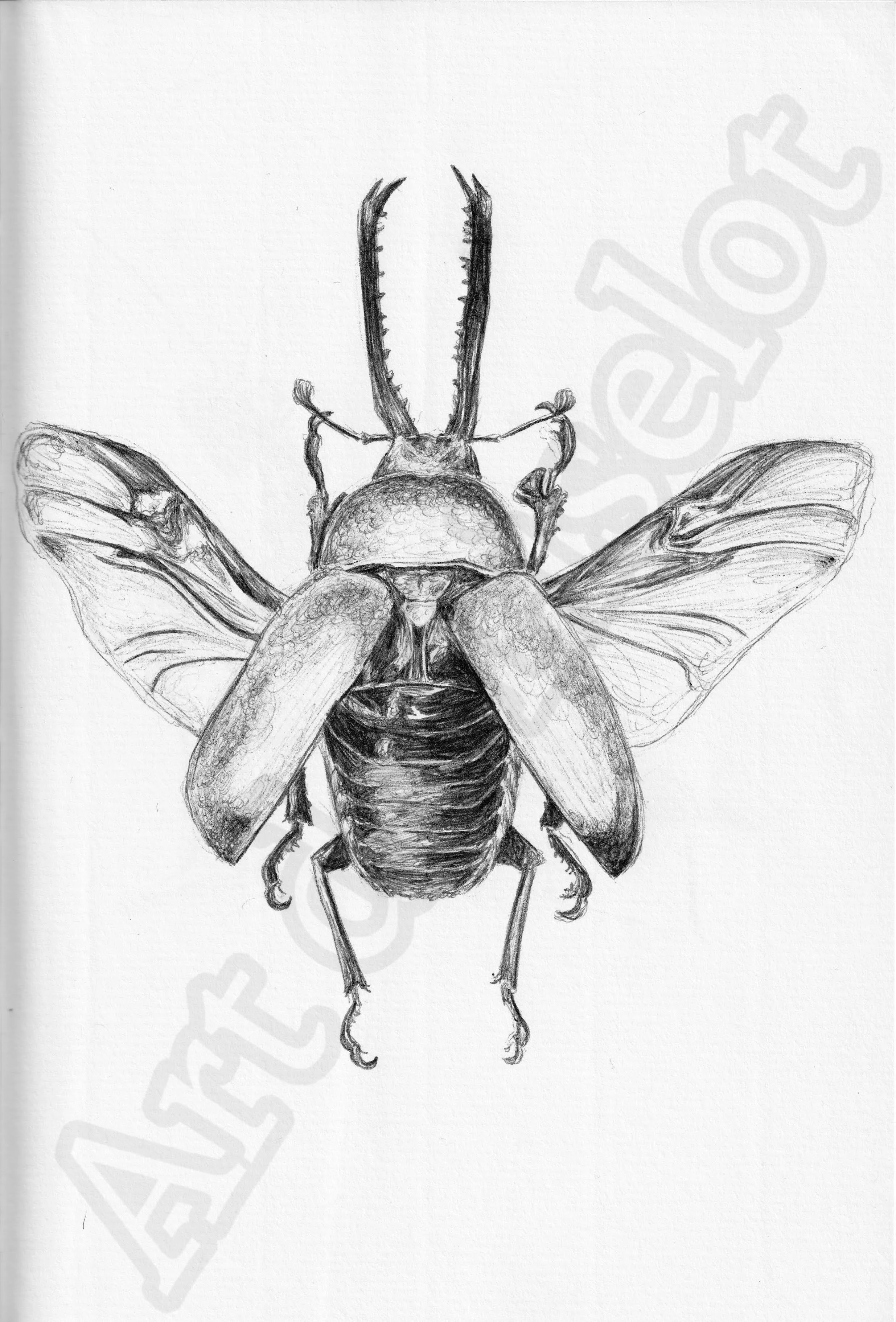 Project (20260303091954).jpg