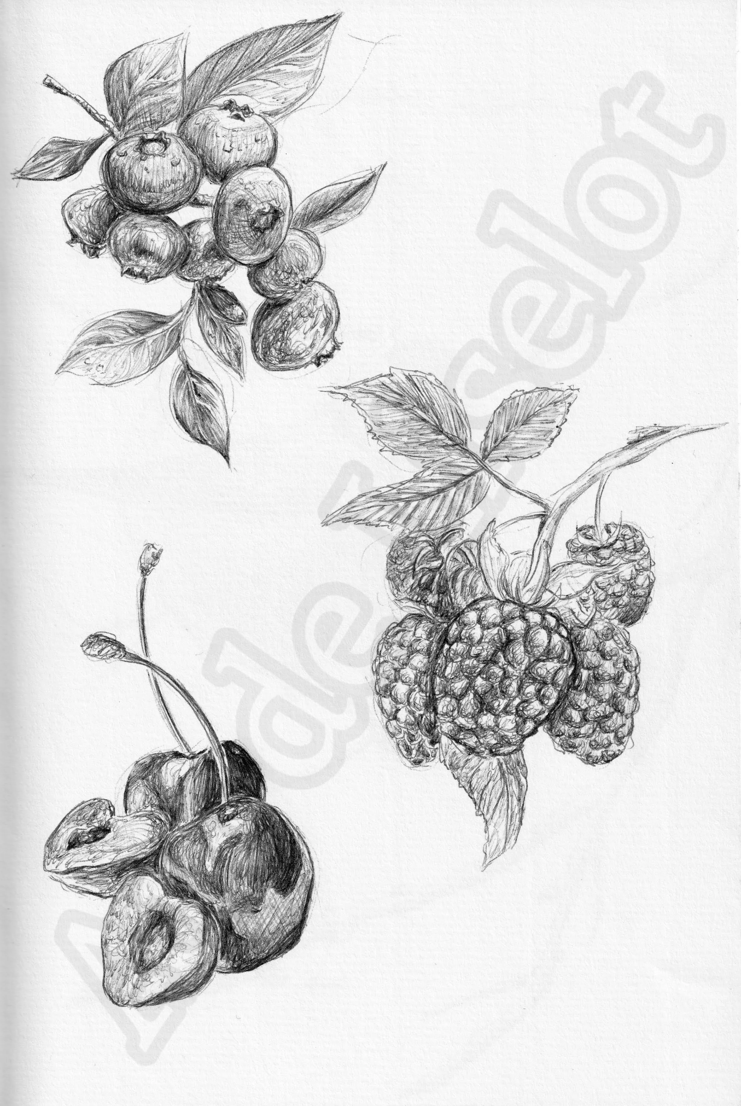 Project (20260303094749).jpg