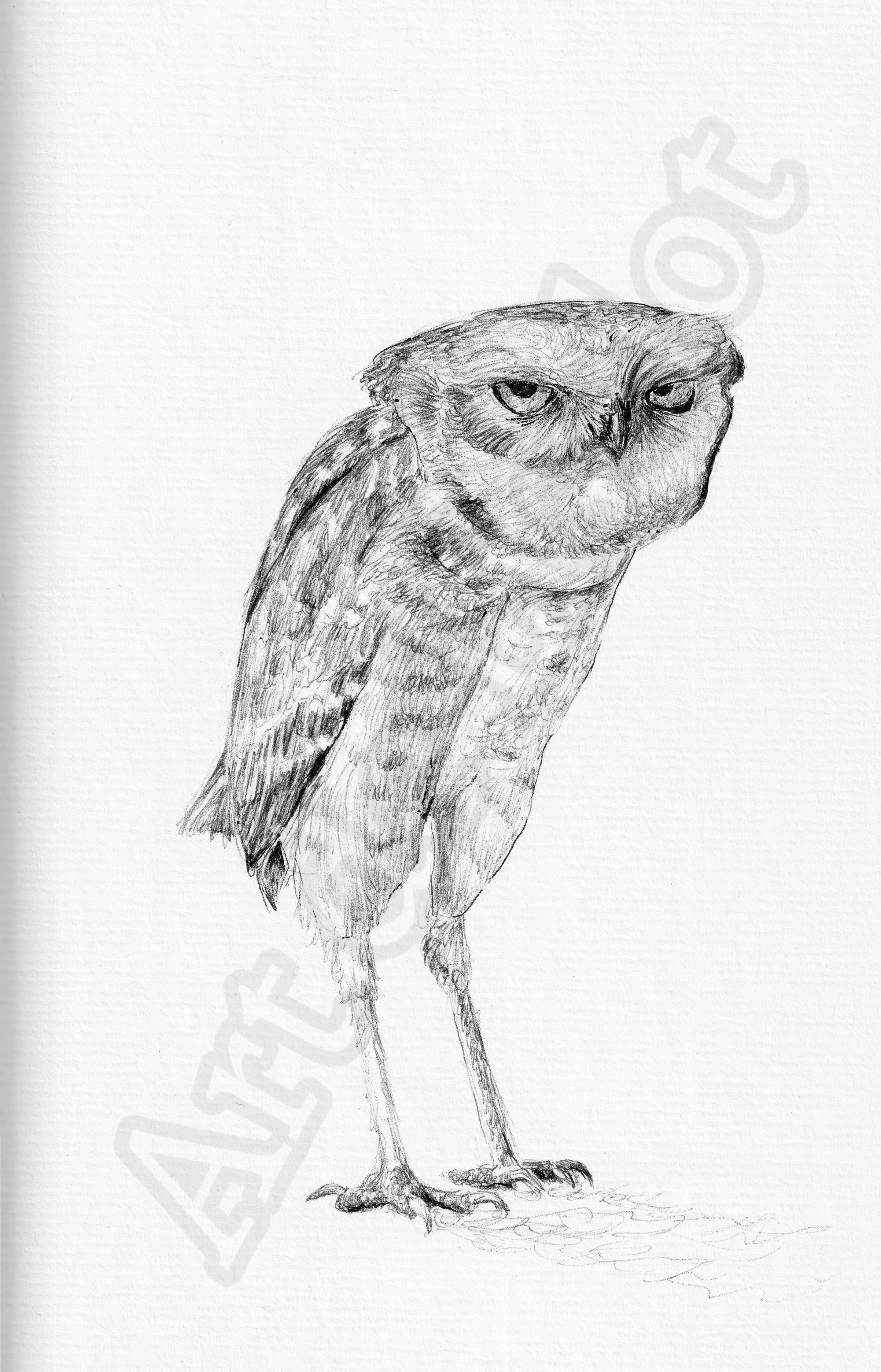 Project (20260303093852).jpg