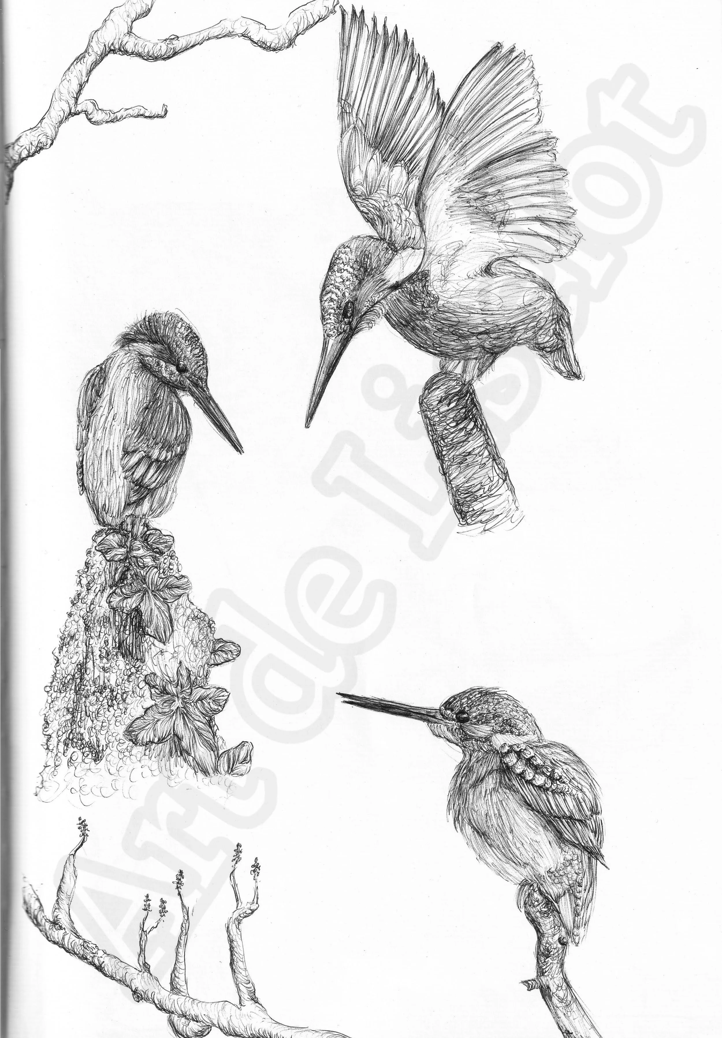 Project (20260304083729).jpg