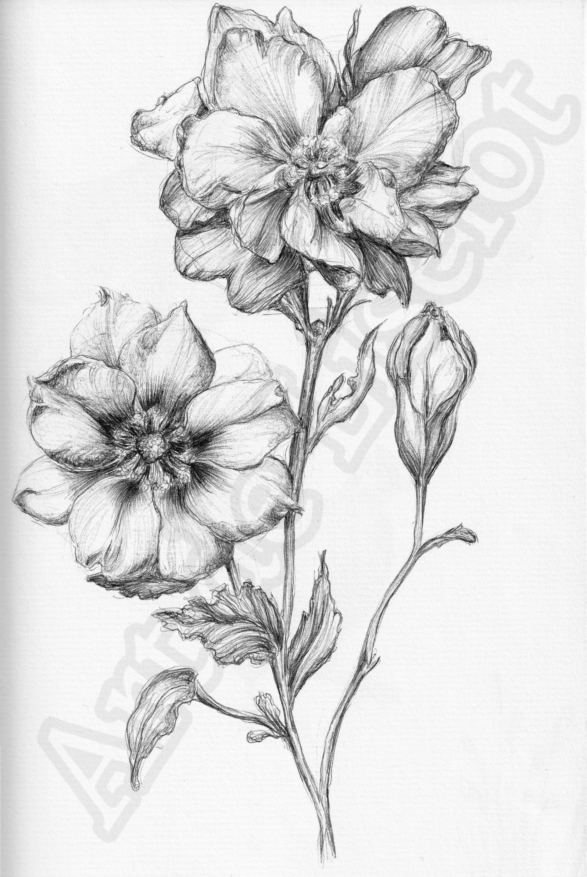 Project (20260303094705).jpg