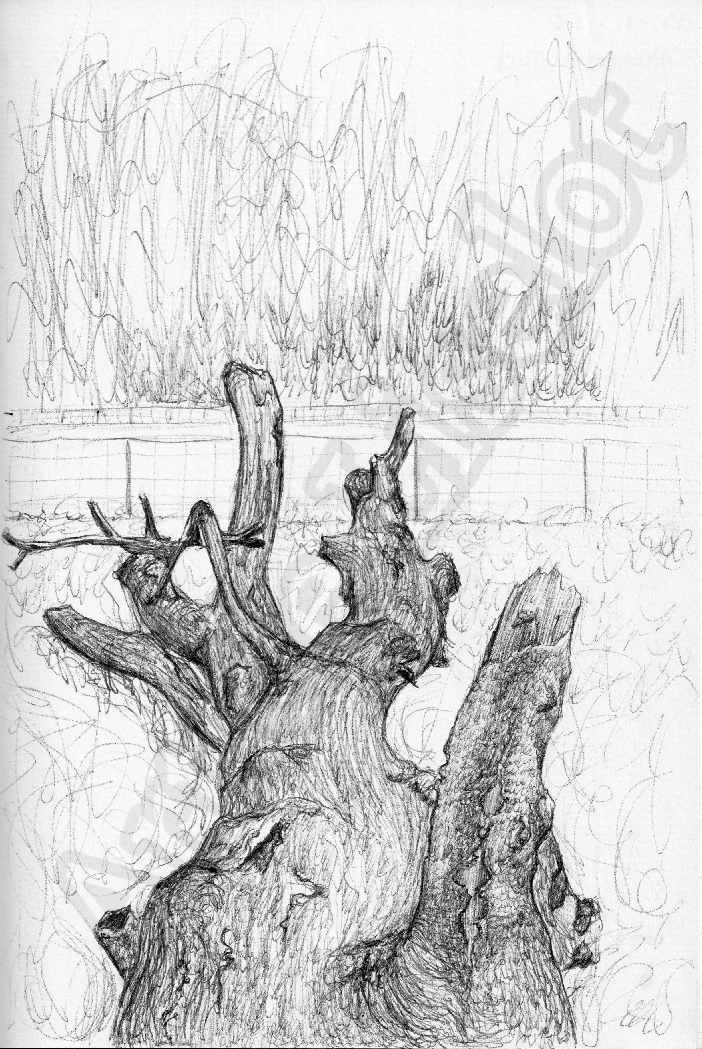 Project (20260303094835).jpg