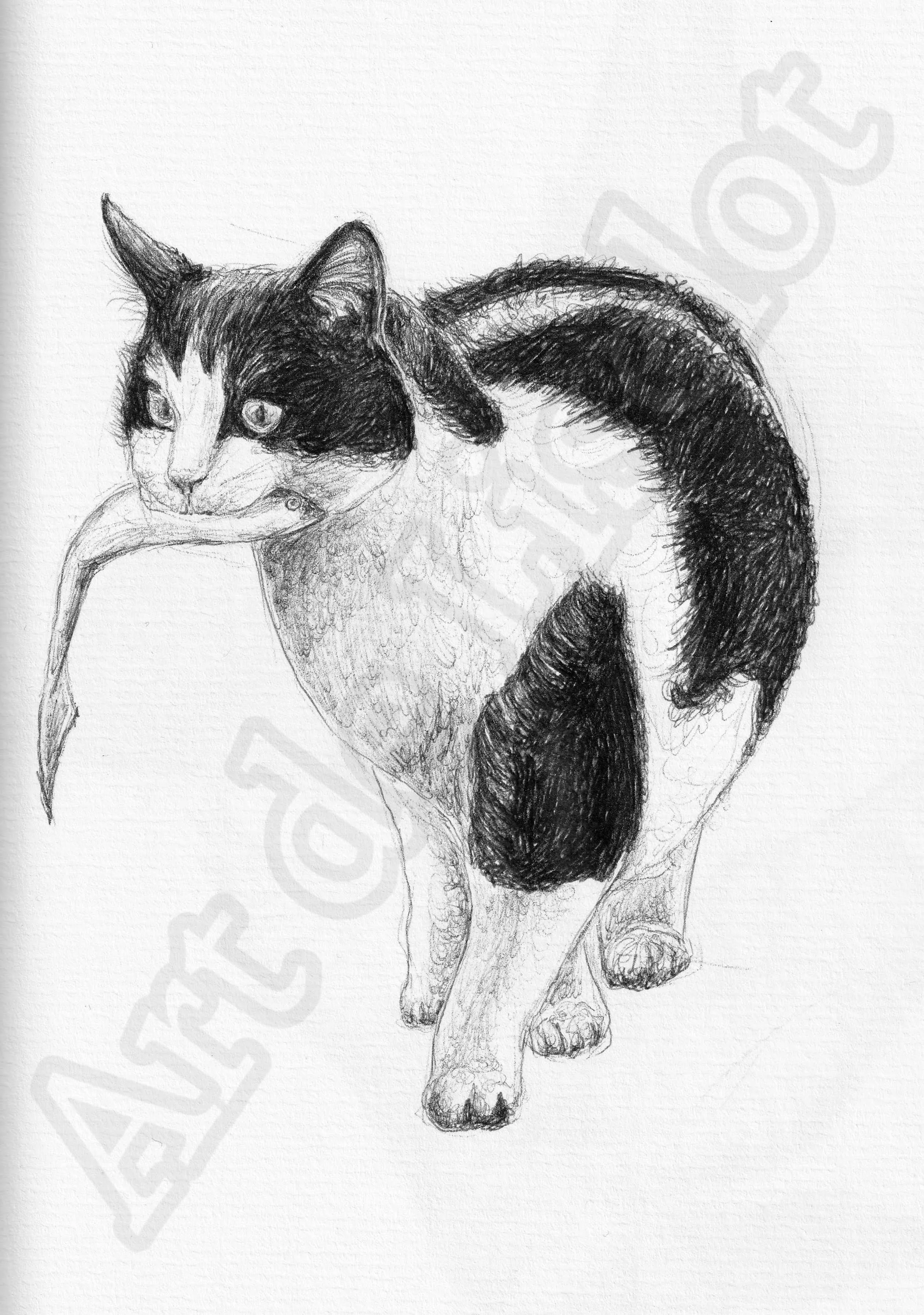 Project (20260303093713).jpg