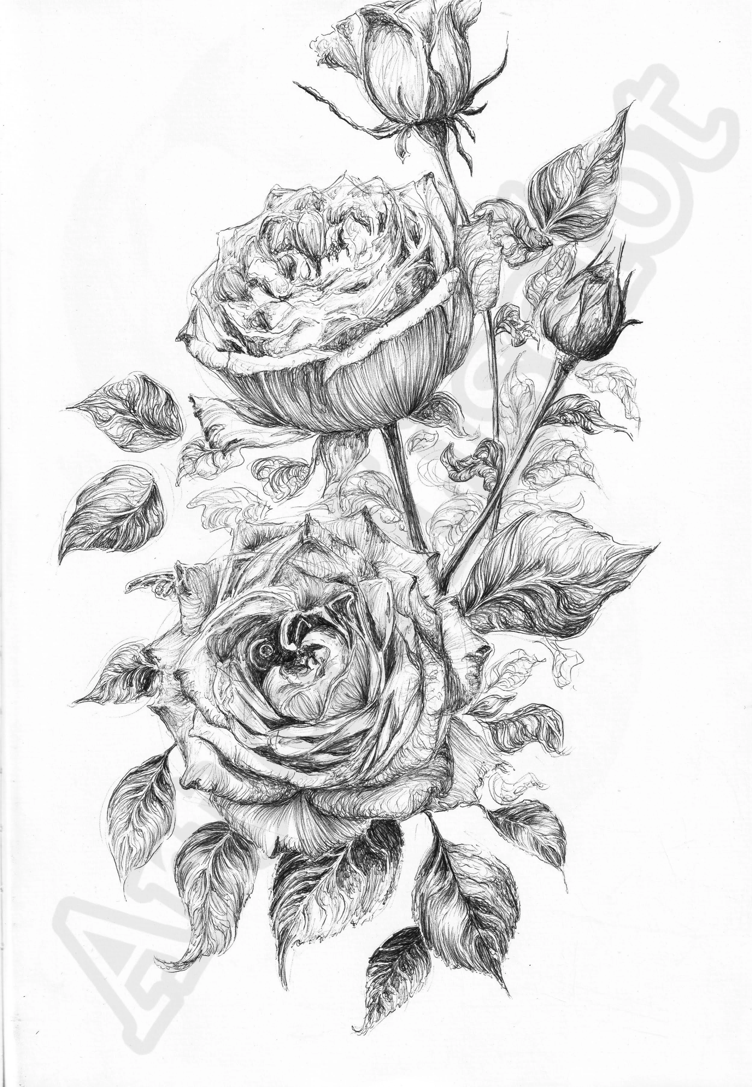 Project (20260304084421).jpg