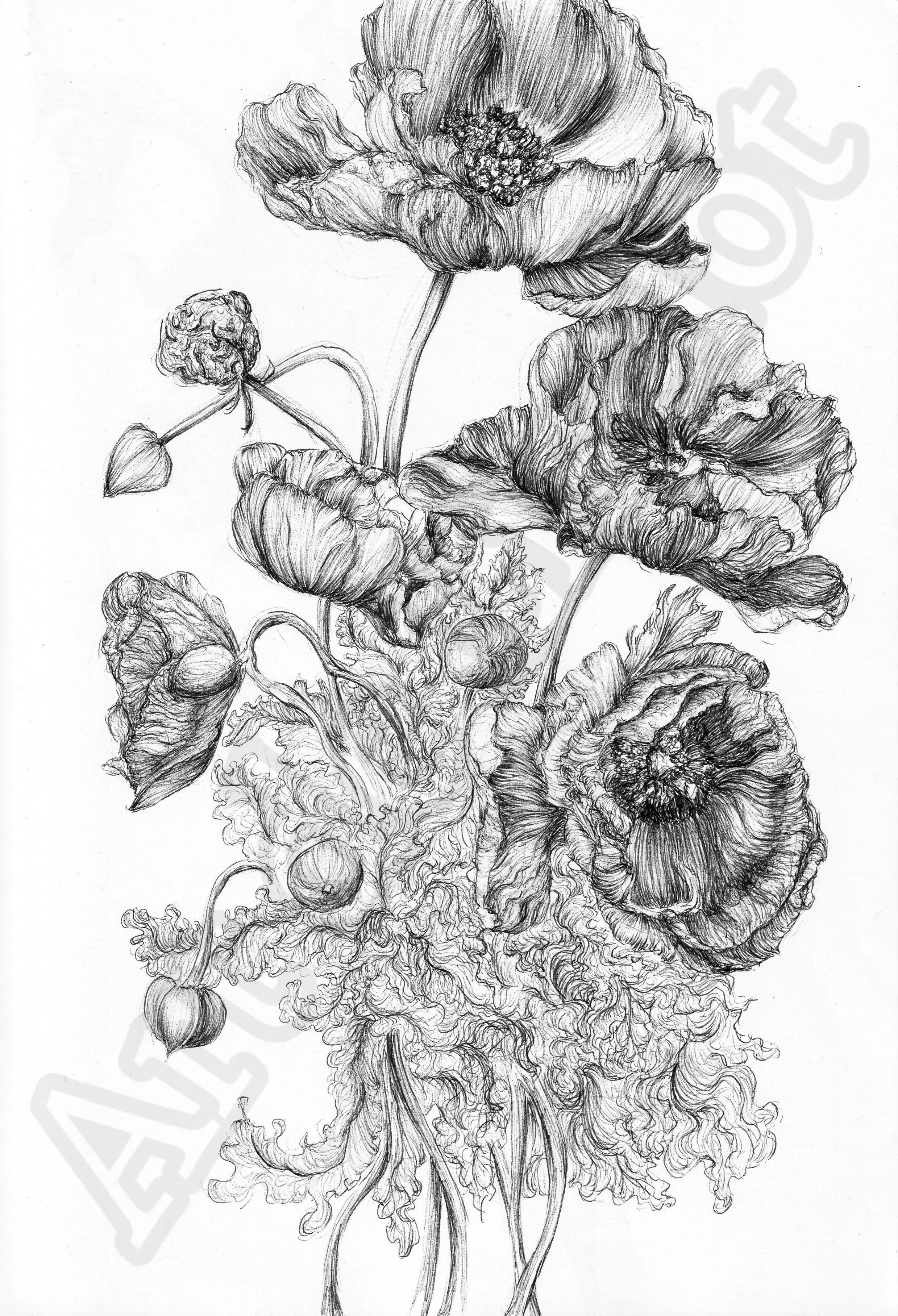 Project (20260304090000).jpg