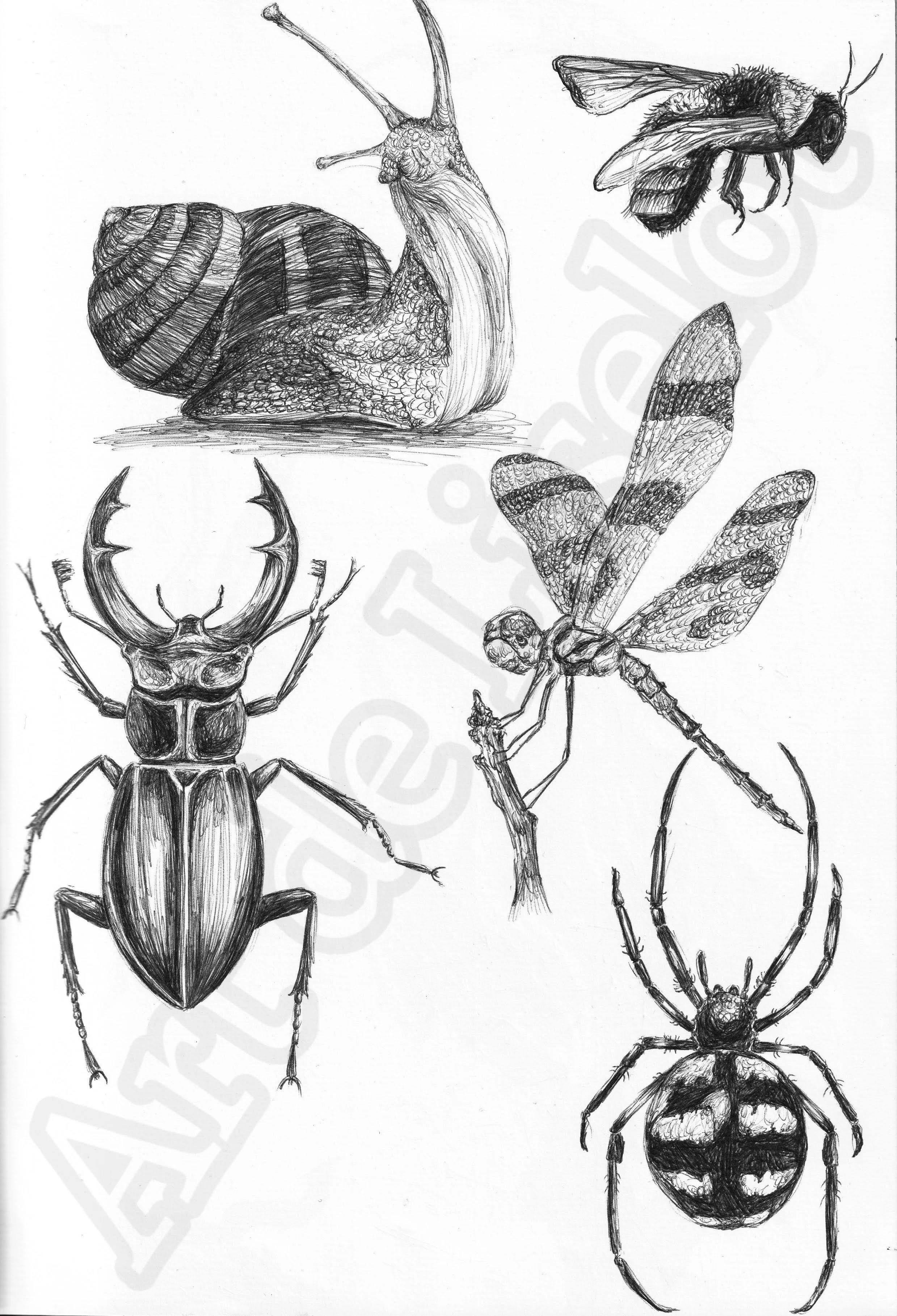 Project (20260304083448).jpg