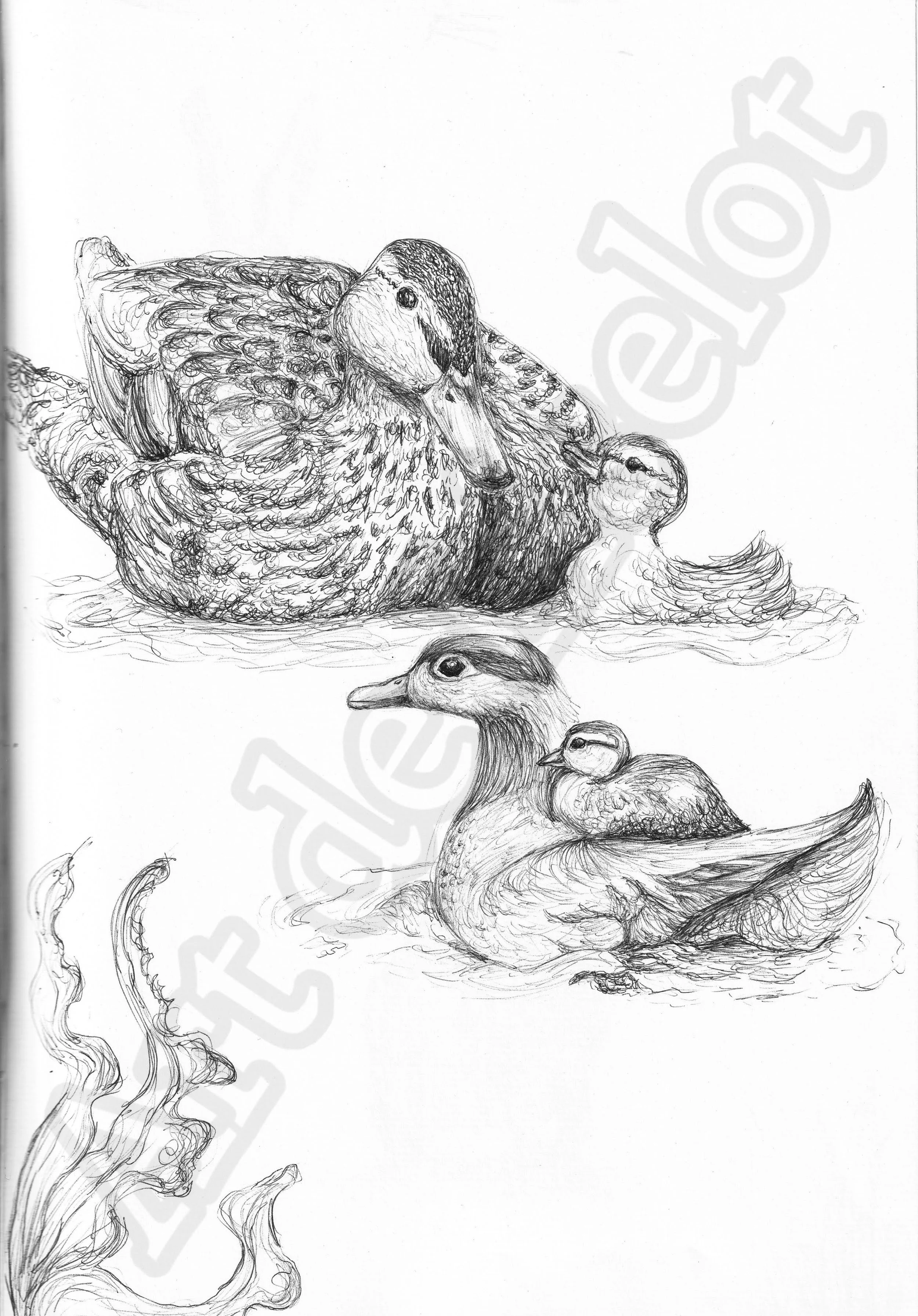 Project (20260304084535).jpg