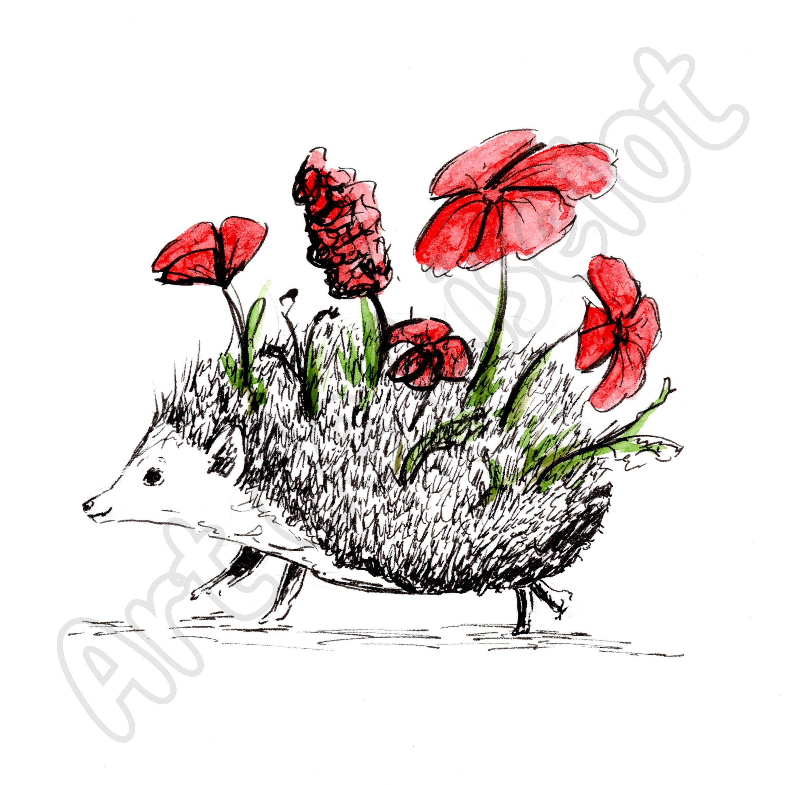 egel.png