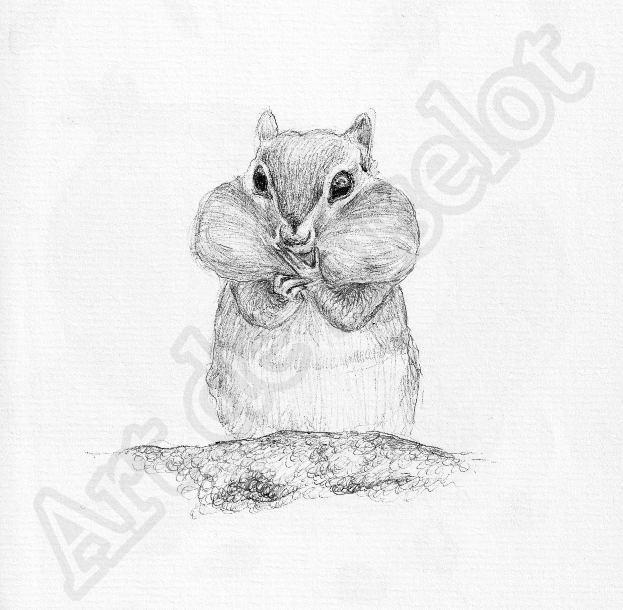 Project (20260303092802).jpg