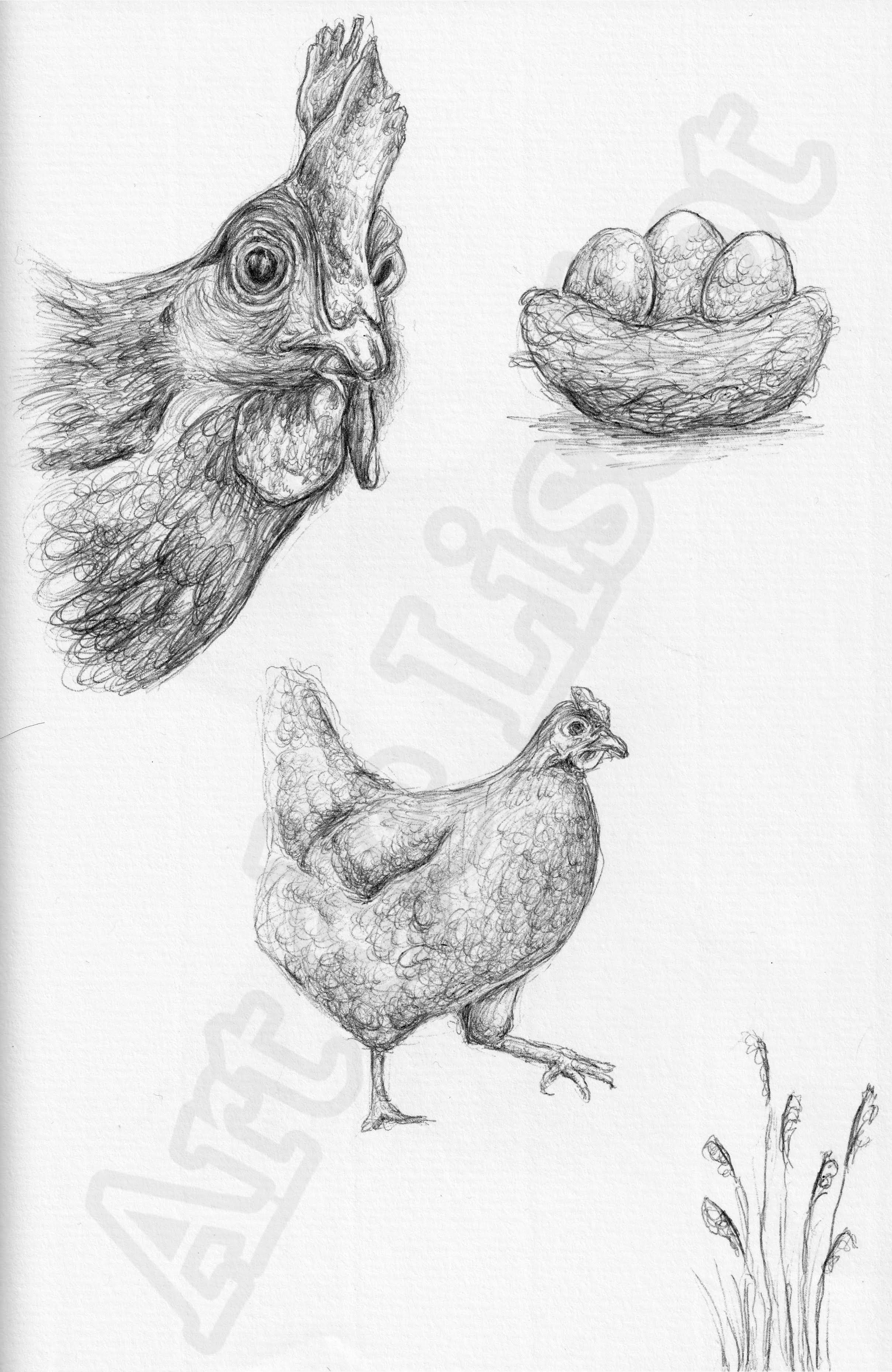 Project (20260303091711).jpg