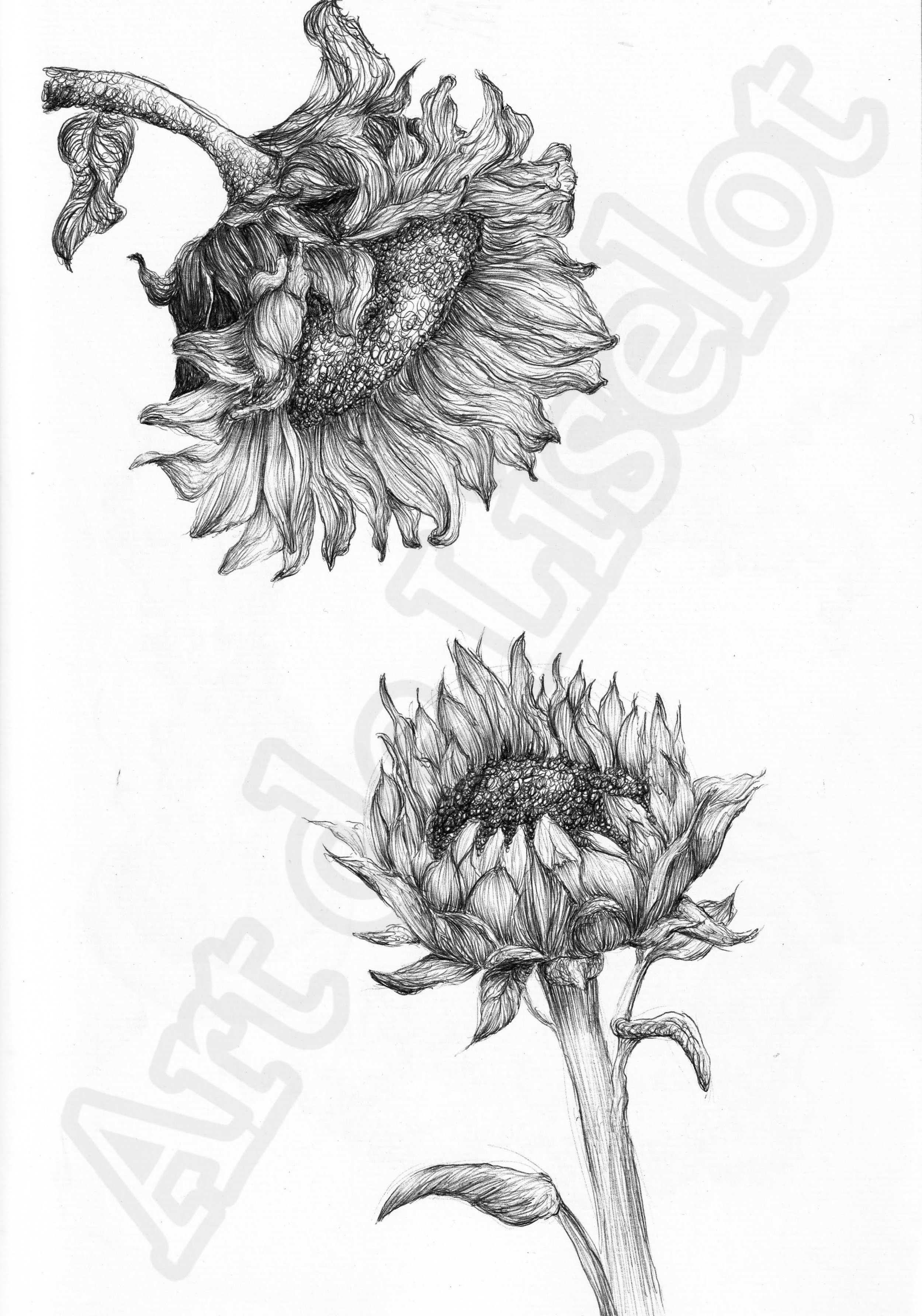 Project (20260304083222).jpg