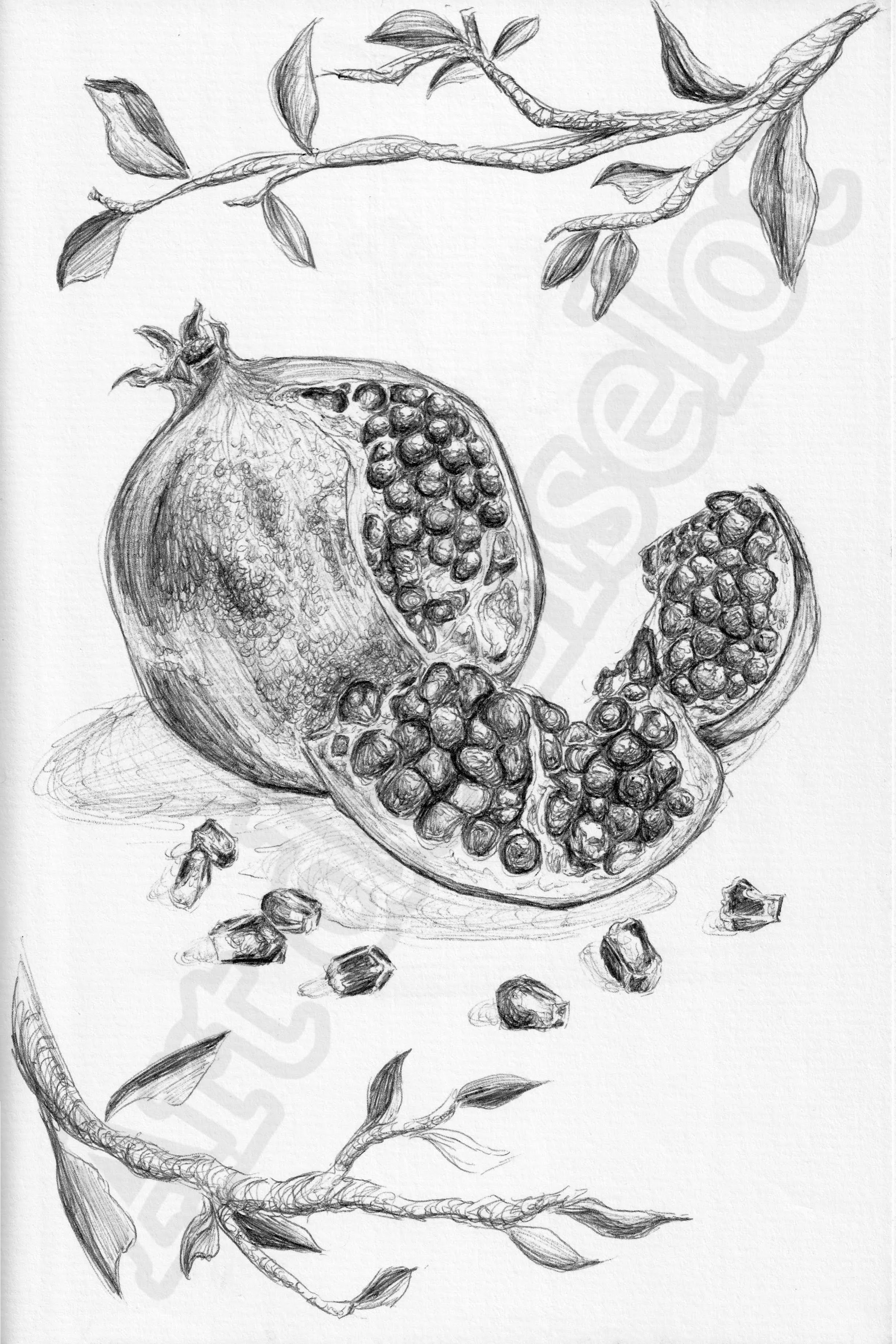 Project (20260303094016).jpg