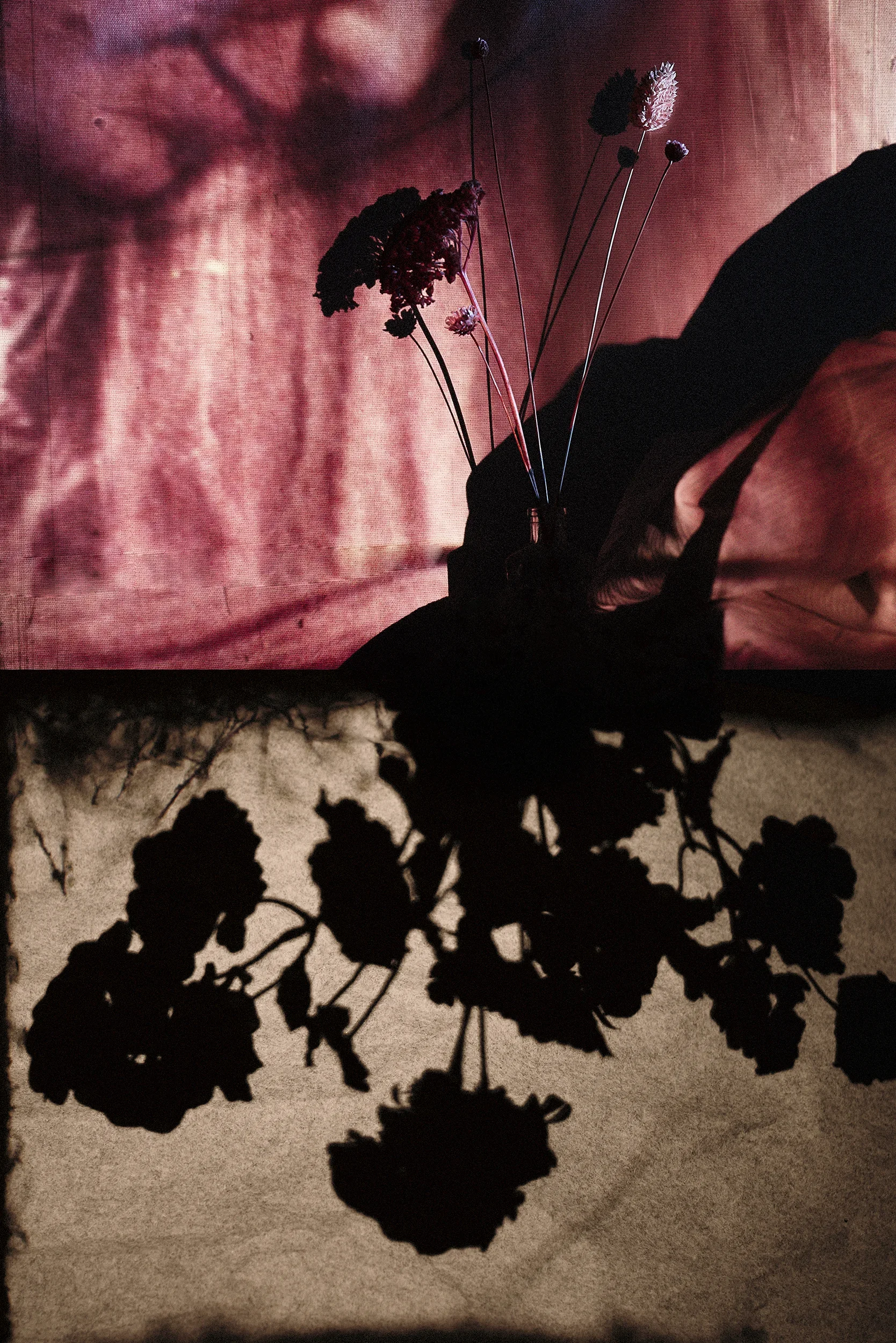 RDV_02 DAVID_2026-03-13_23-26-08 copy.webp