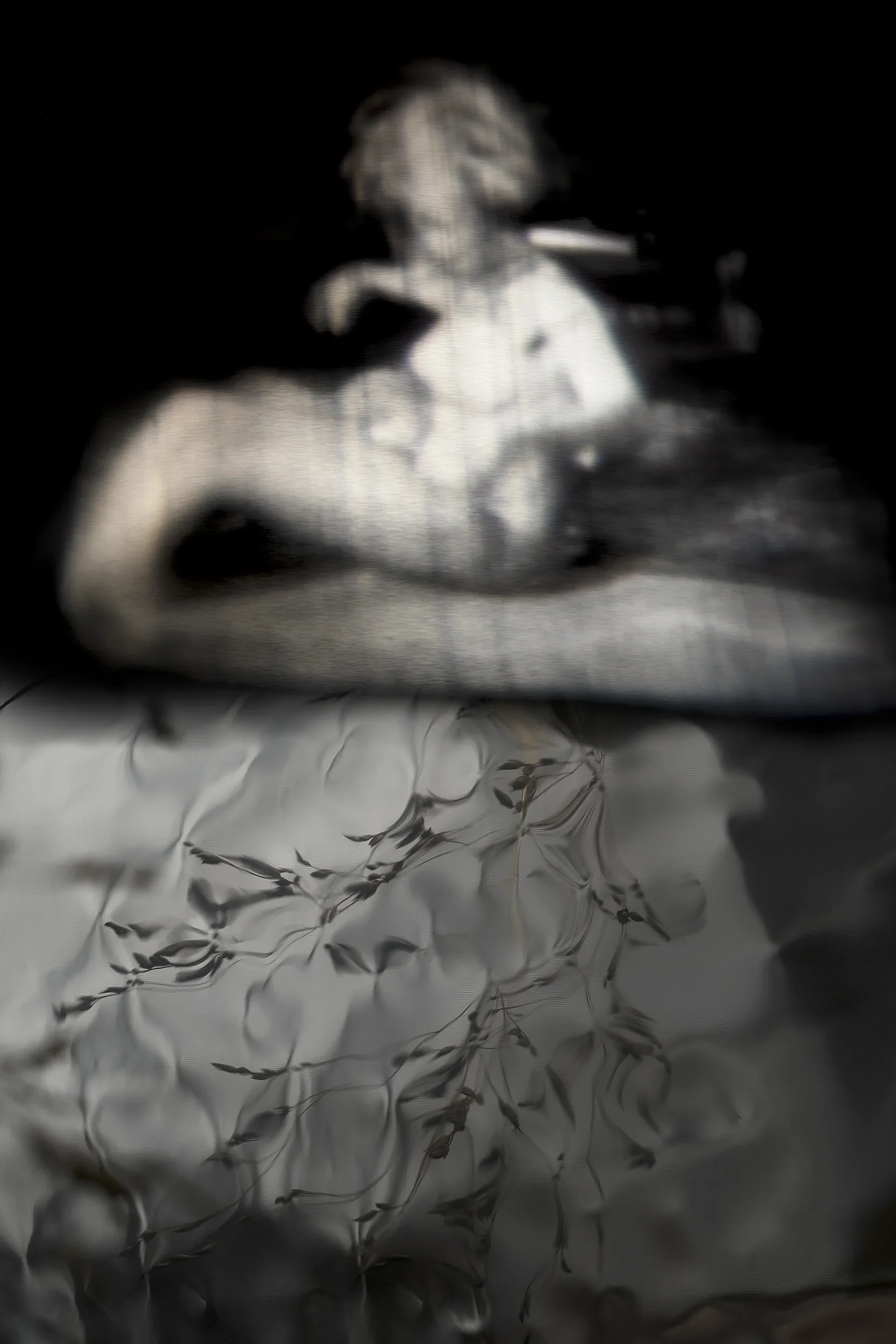 DSCF1245_Retouched_Published copy.webp