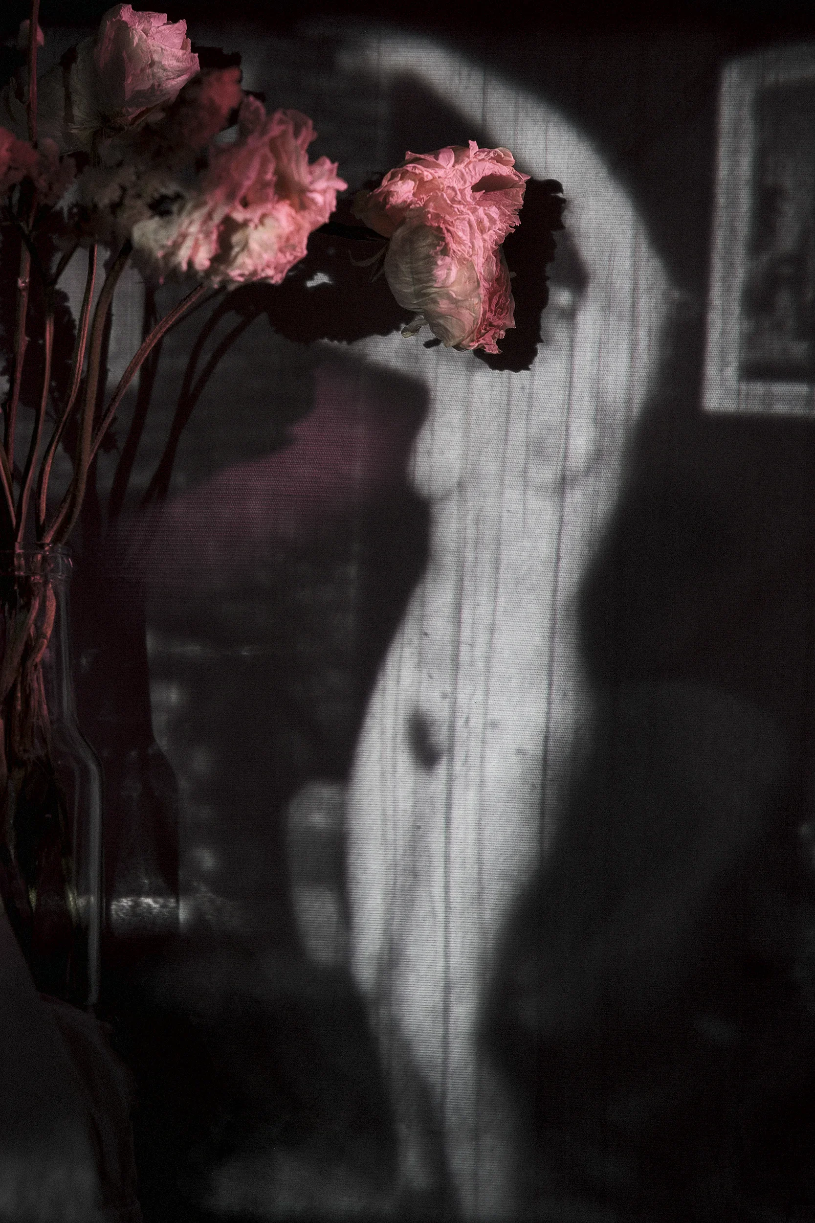 DSCF1033_Retouched copy.webp