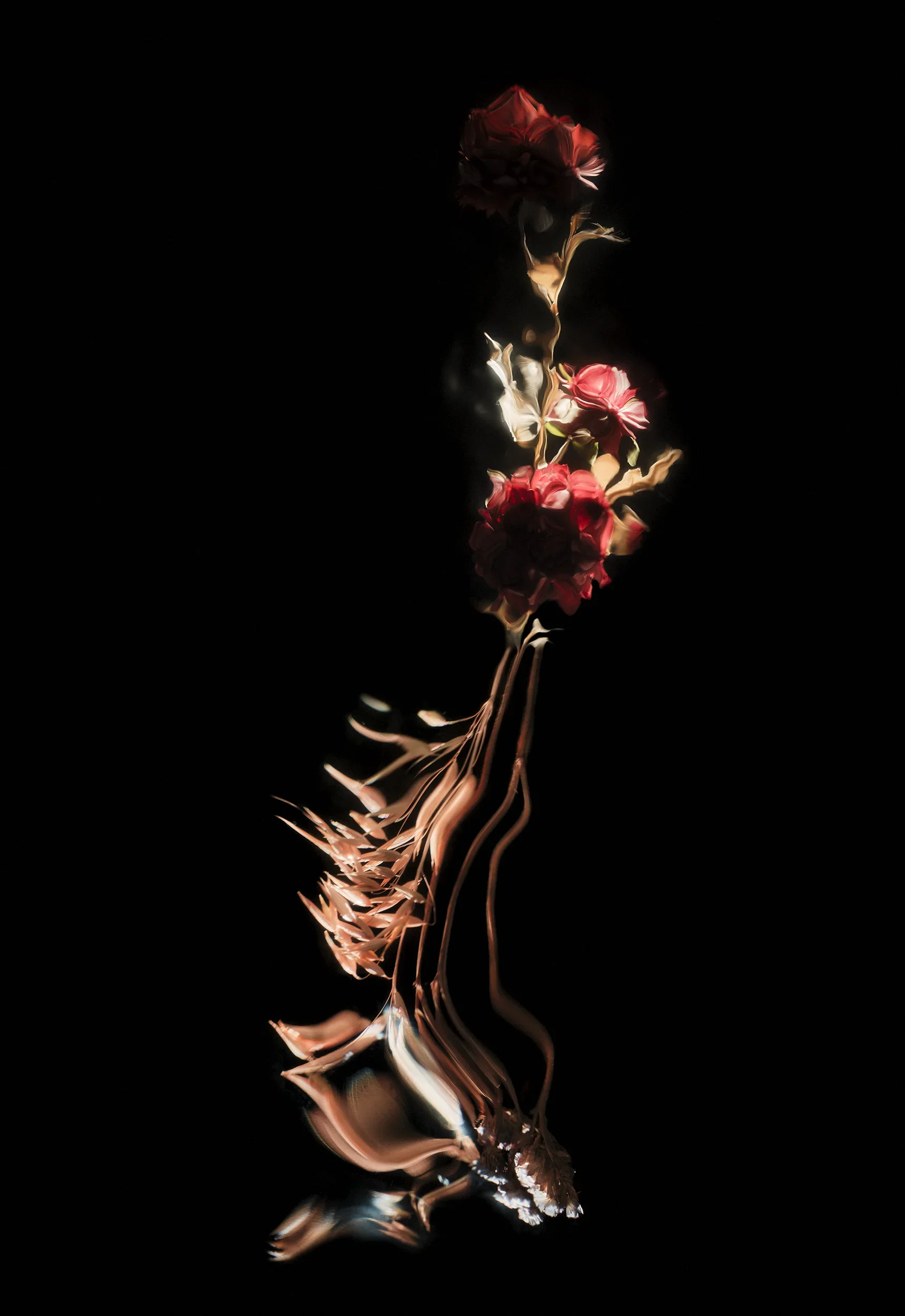 0218-0452_Published copy.webp