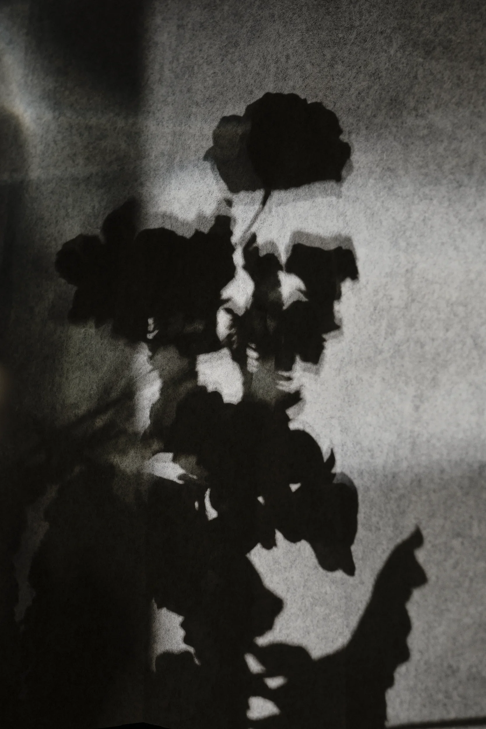 DSCF0576_Retouched_Published copy.webp