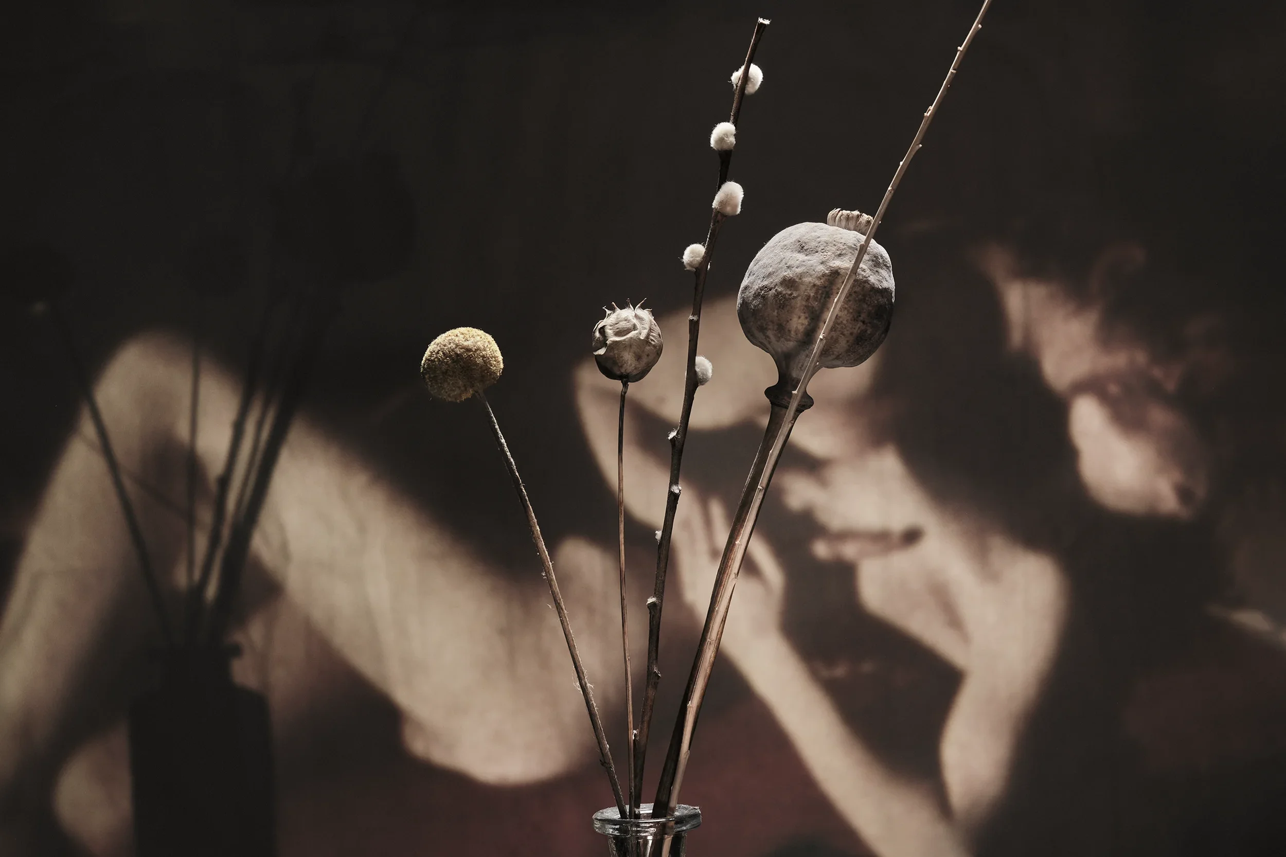 DSCF9802_Retouched_Published copy.webp