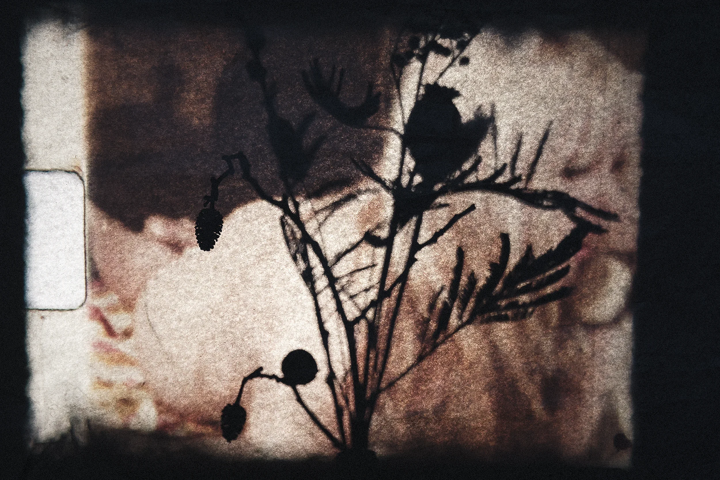 DSCF0671_Retouched_Published copy.webp