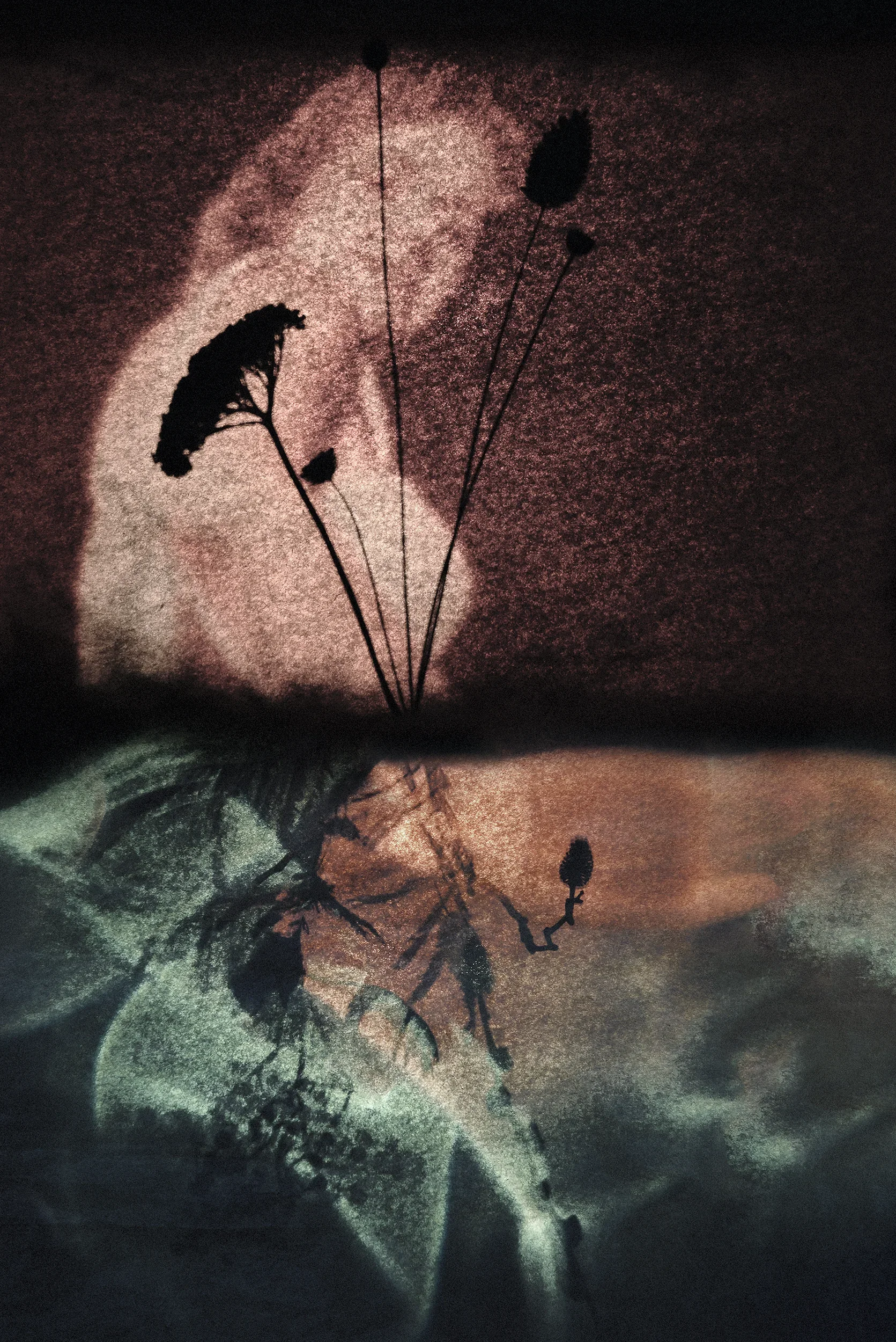 DSCF0608_Retouched_Published copy.webp