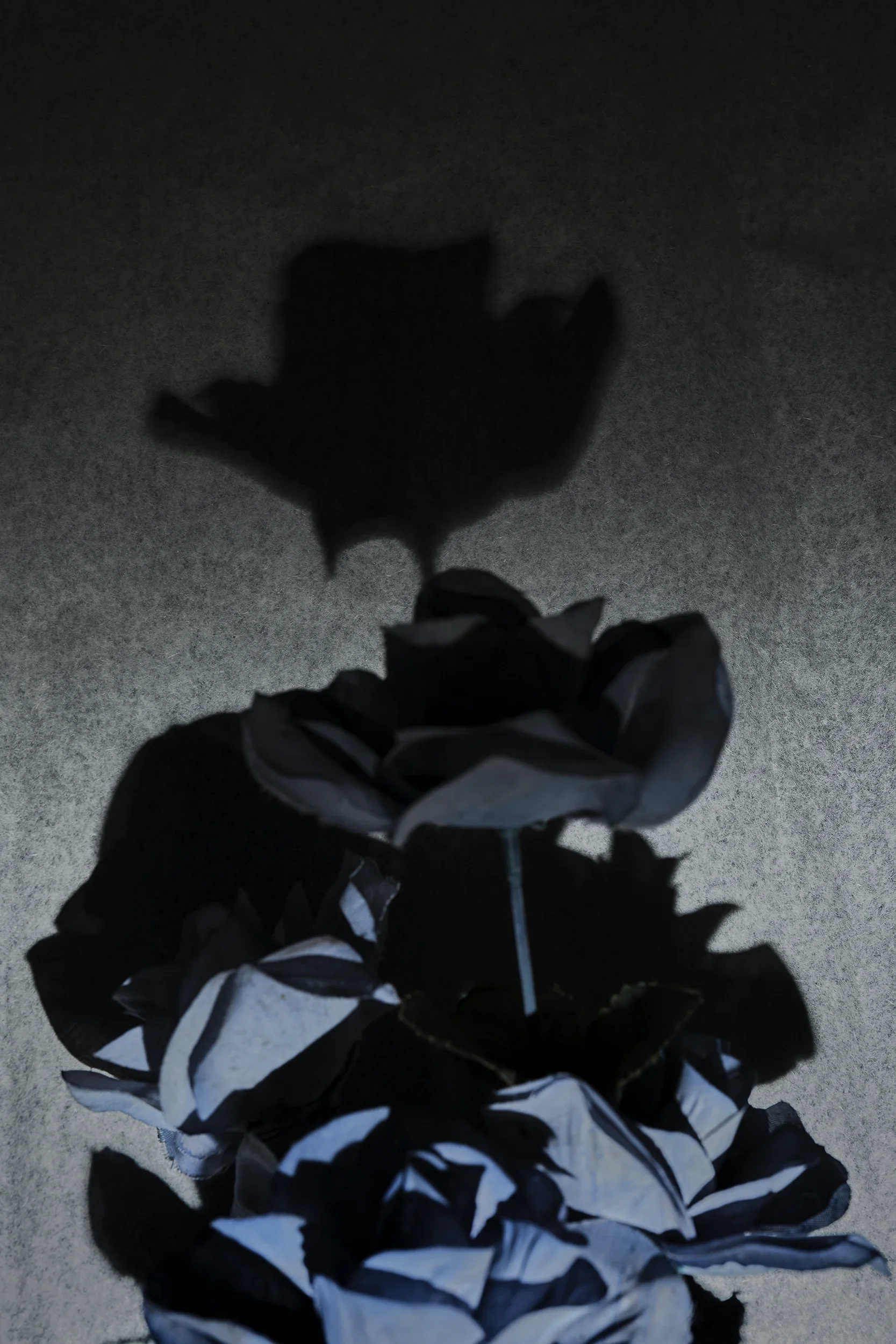 DSCF0496_Retouched_Published copy.webp