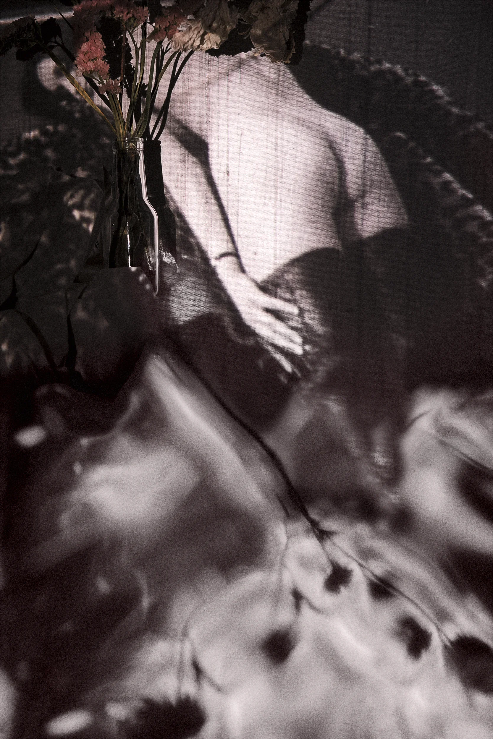 DSCF1022_Retouched_2 copy.webp