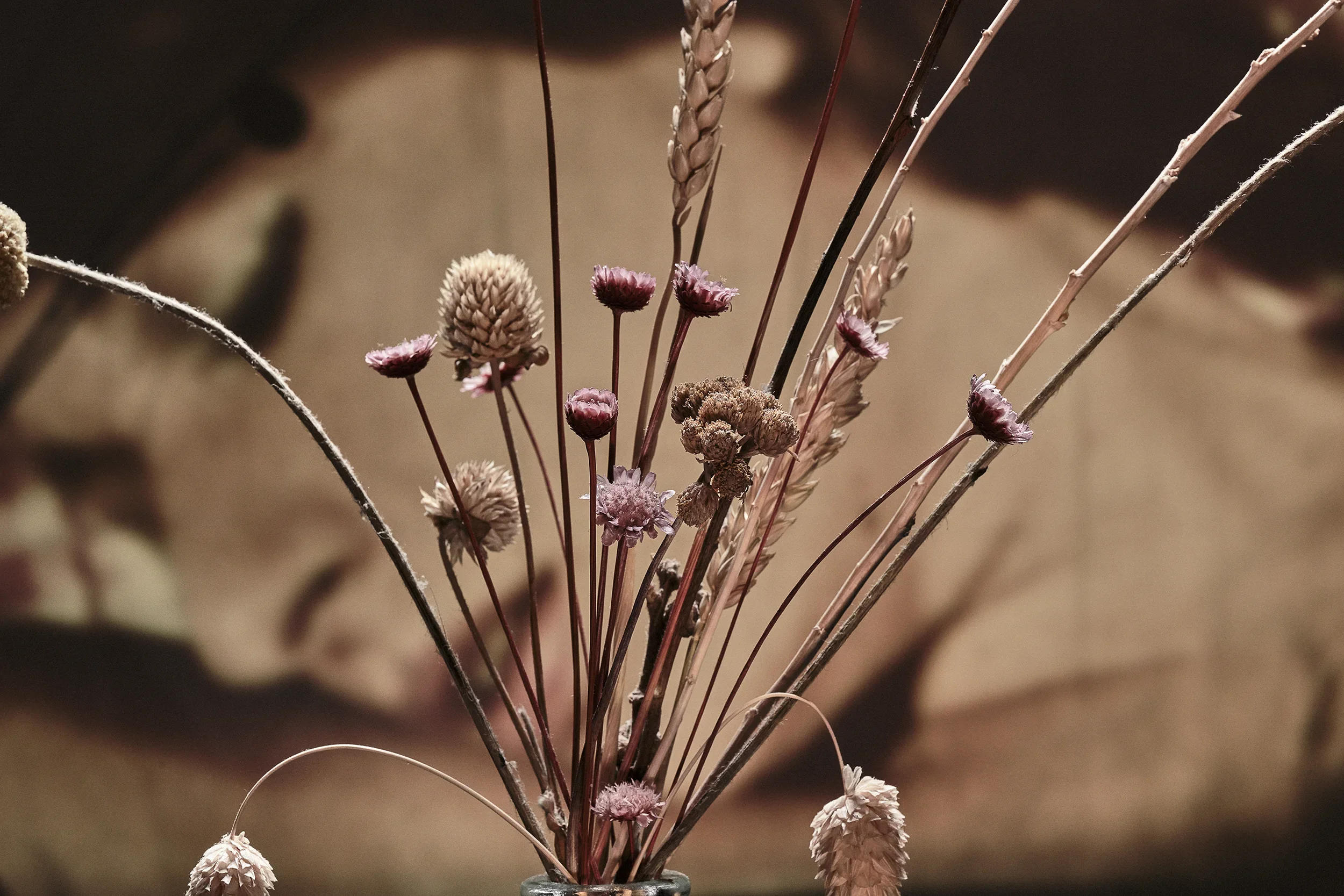 DSCF9754_Retouched_Published copy.webp