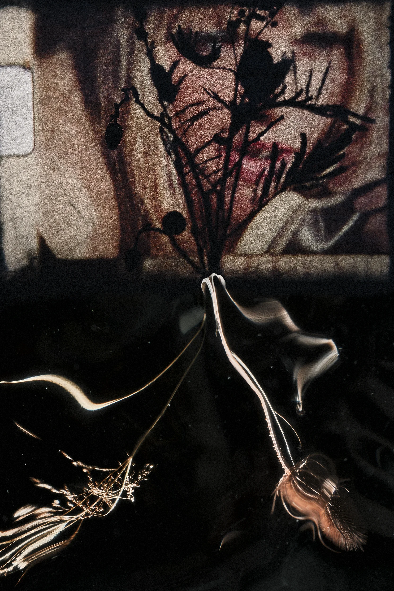 DSCF0411_Retouched_published copy.webp