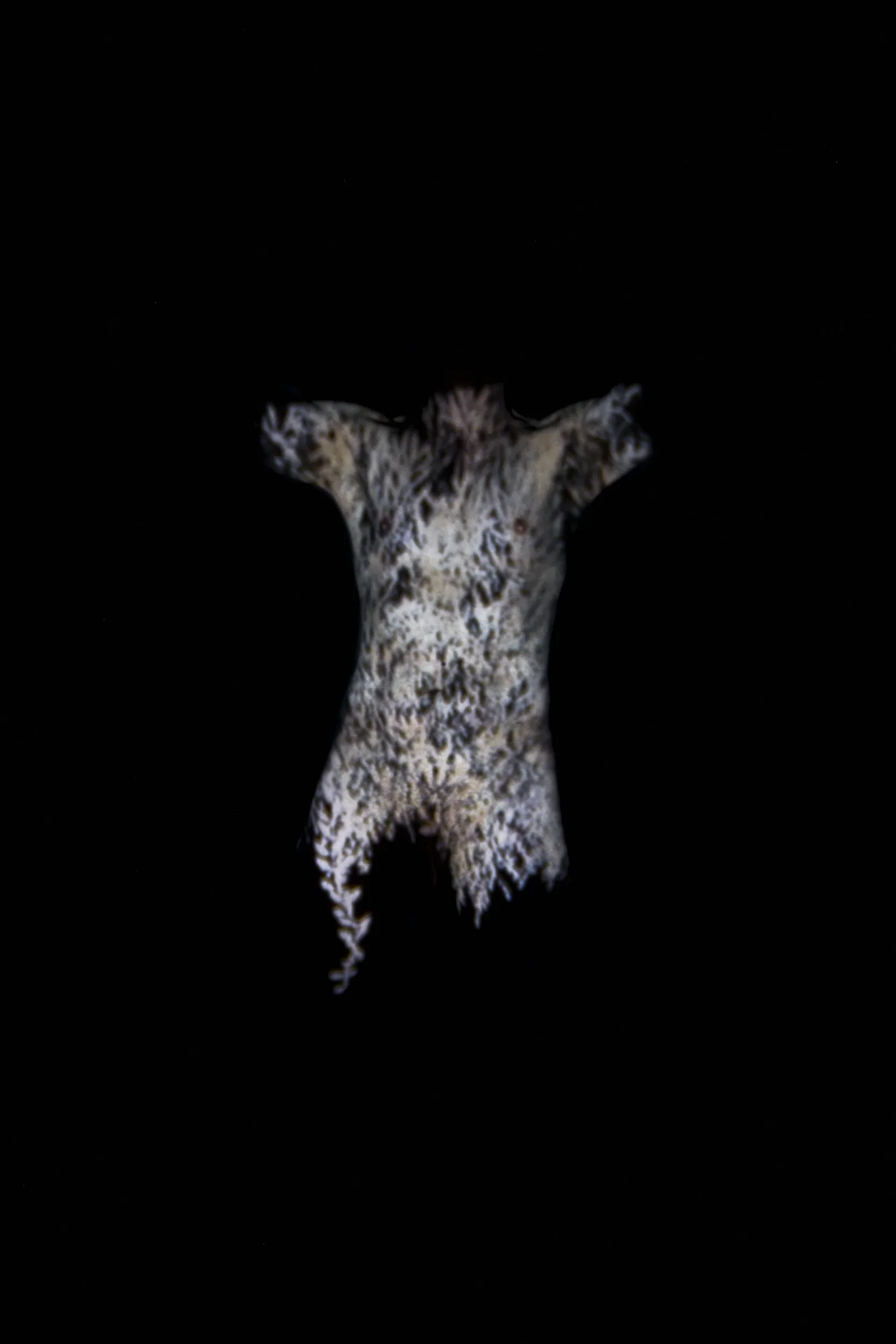 DSCF6461_retouched copy.webp