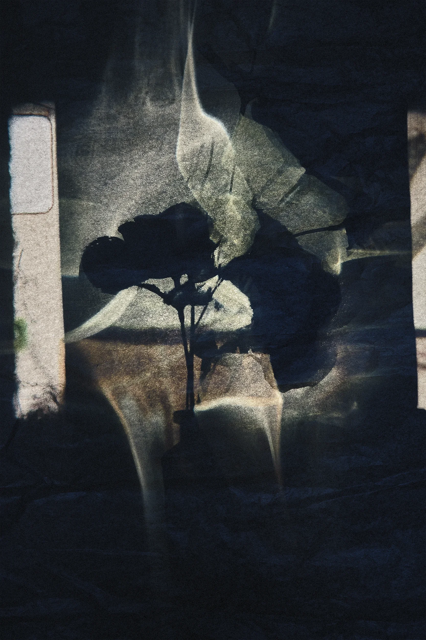 DSCF0725_Retouched copy.webp