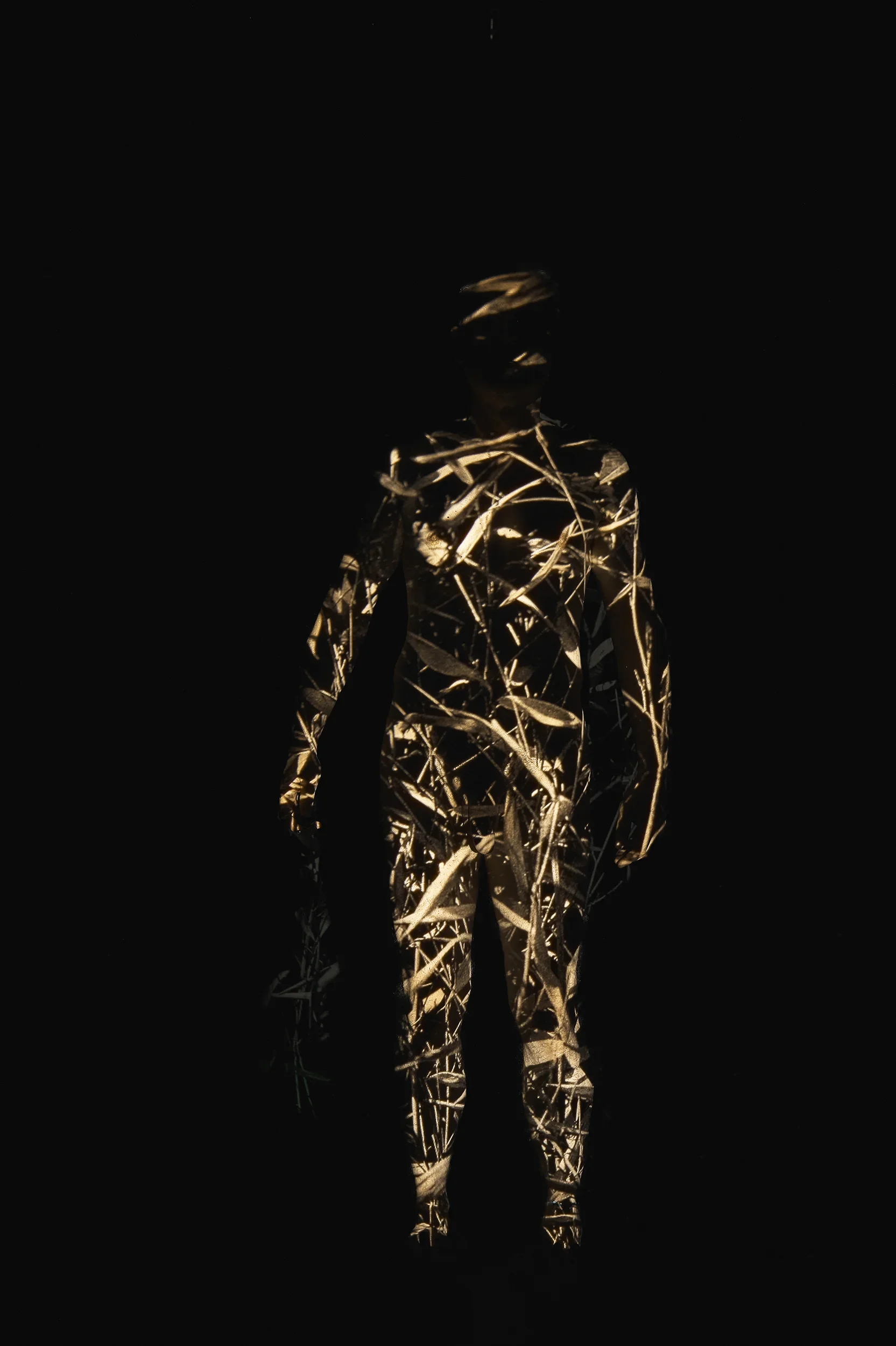 OeilDeep-Session4_Station1410108_retouched copy.webp