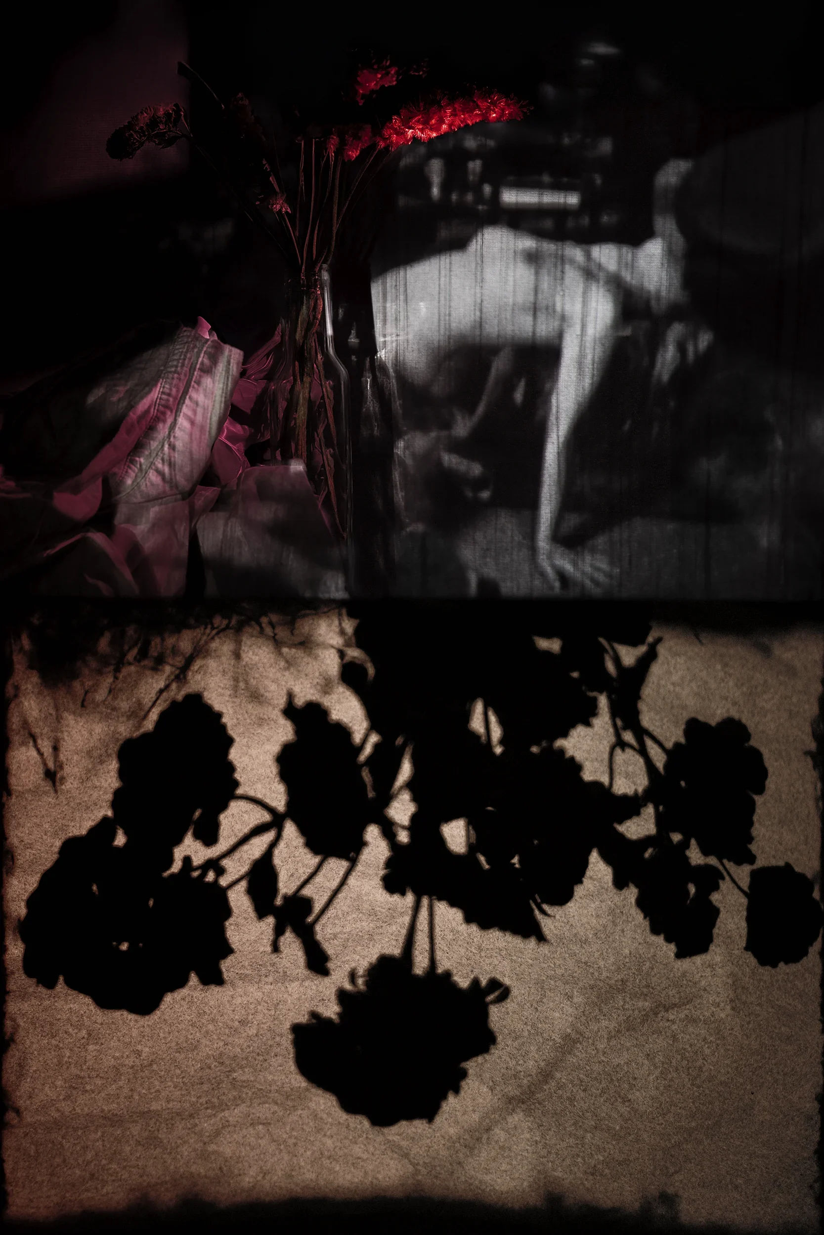 DSCF1037_Retouched_Published copy.webp