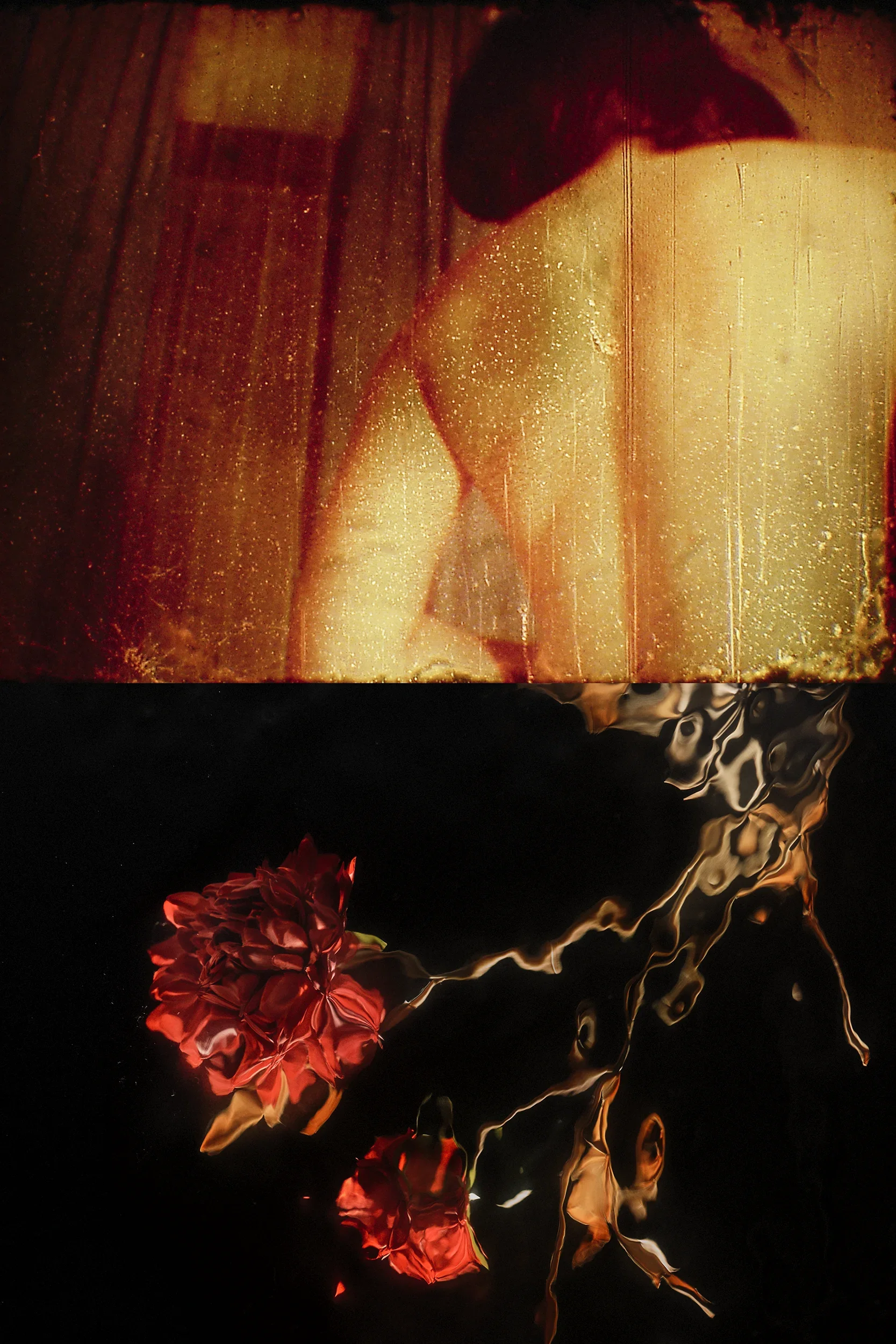 DSCF0215_Retouched_Published copy.webp