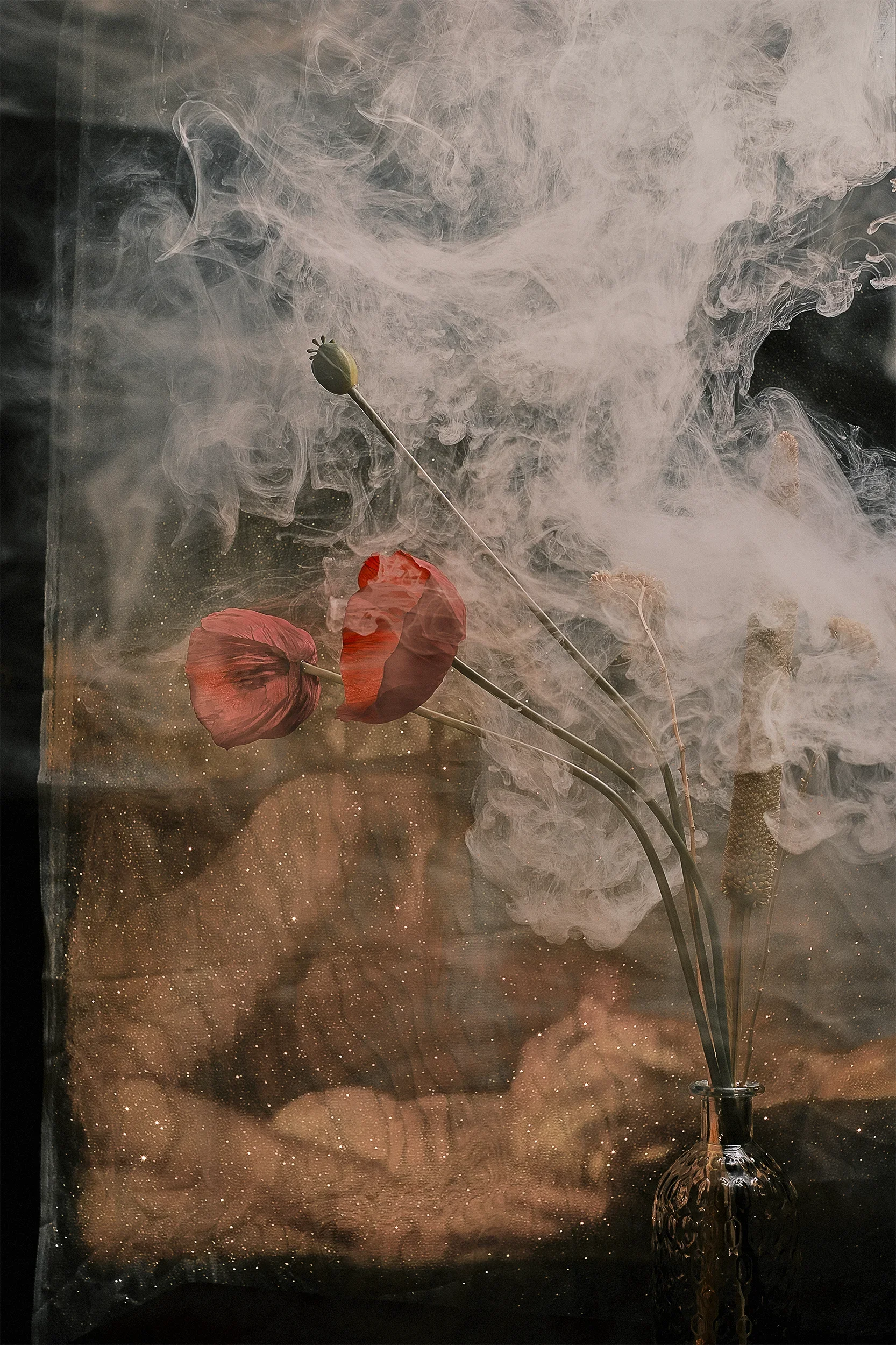 DSCF9951_Retouched copy.webp