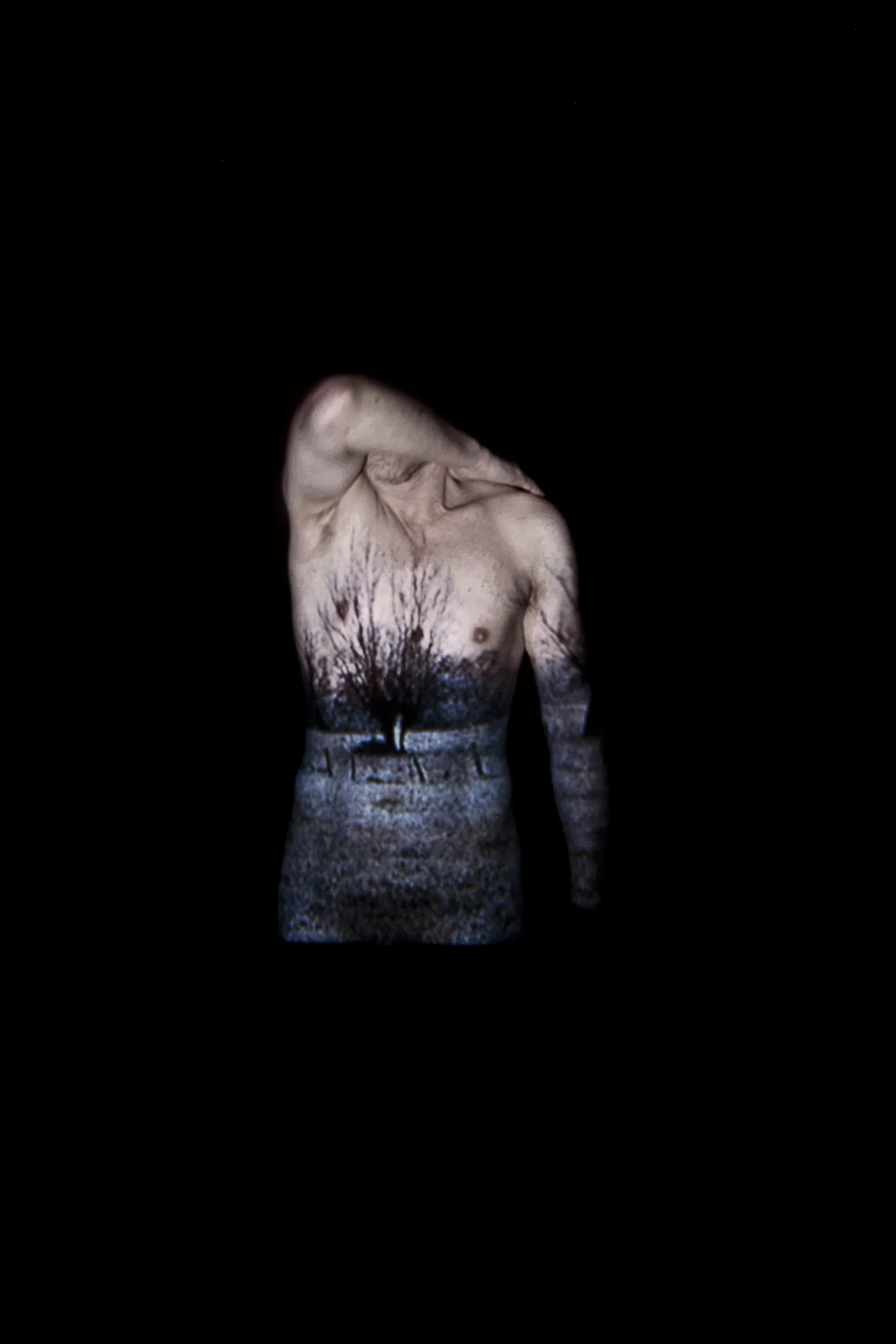 DSCF6481_retouched copy.webp