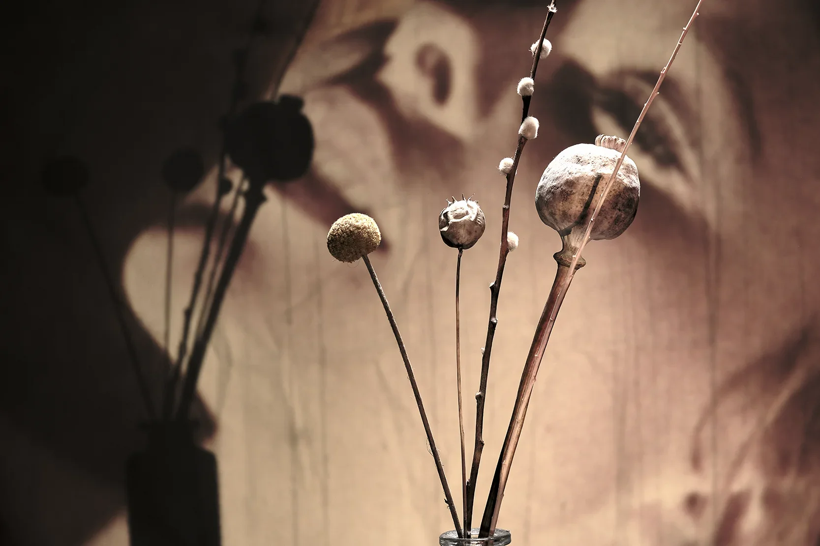 DSCF9807_Retouched_Published copy.webp