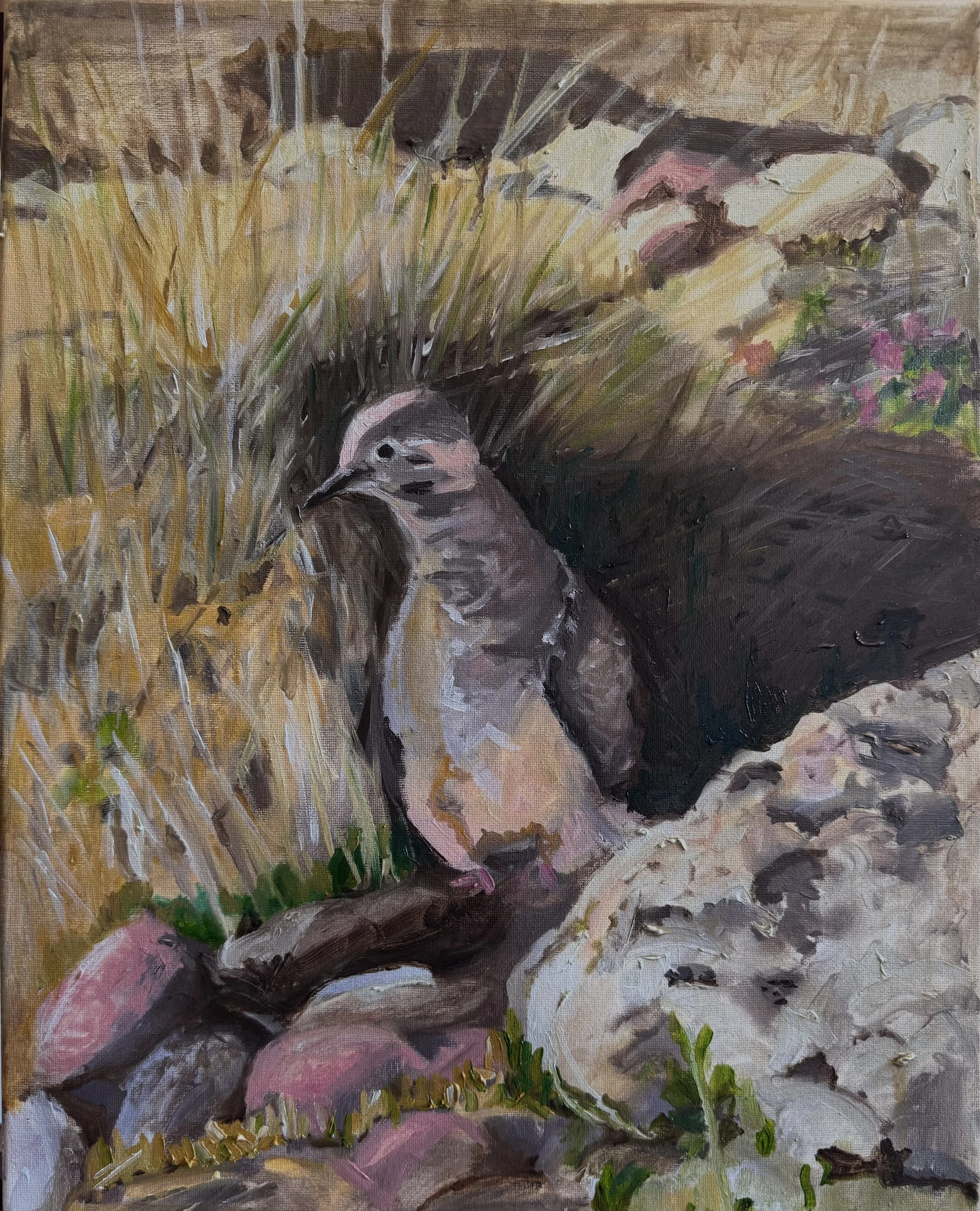 Oil painting titled Desert Morning, showing a mourning dove perched within a sunlit desert landscape of muted earth tones and surrounding vegetation.