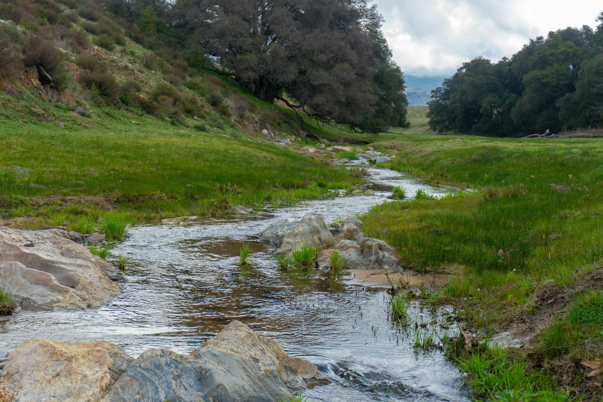 A small stream flowing through a grassy valley with trees on both sides and a cloudy sky in the background.