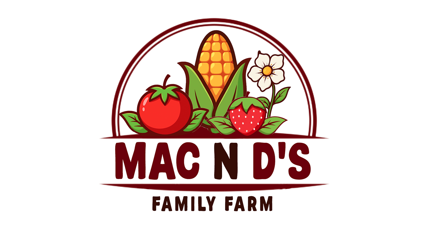 Custom logo for Mac n D's Family Farm — red tomato, corn cob, strawberry, and white flower inside a maroon arch with 'Mac n D's Family Farm' text below. Warm, farm-fresh design by Heather at Genuine Midwest Consulting.