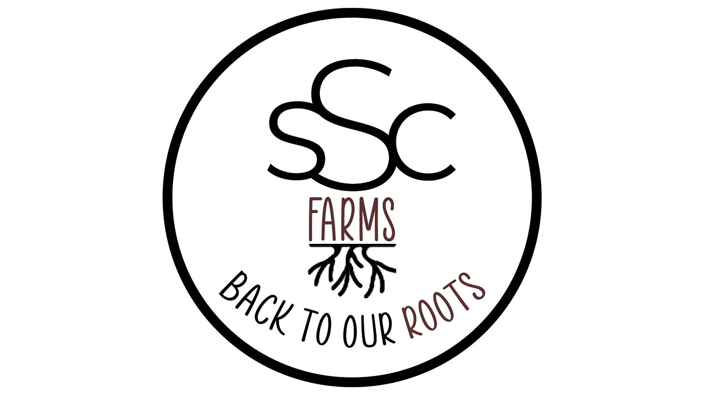 Custom circular logo for SSC Farms — black 'SSC' monogram above 'FARMS' with roots illustration and 'Back to Our Roots' text curved below. Clean, farm-inspired design by Heather at Genuine Midwest Consulting.
