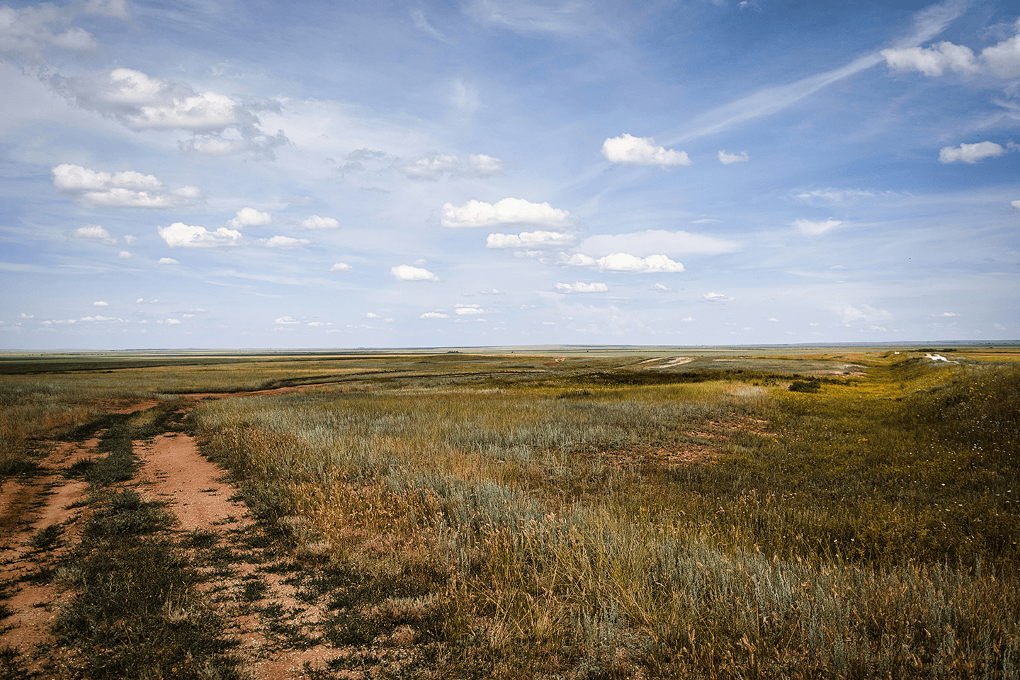 Open grassland or prairie with a dirt path, sparse vegetation, and a partly cloudy sky.