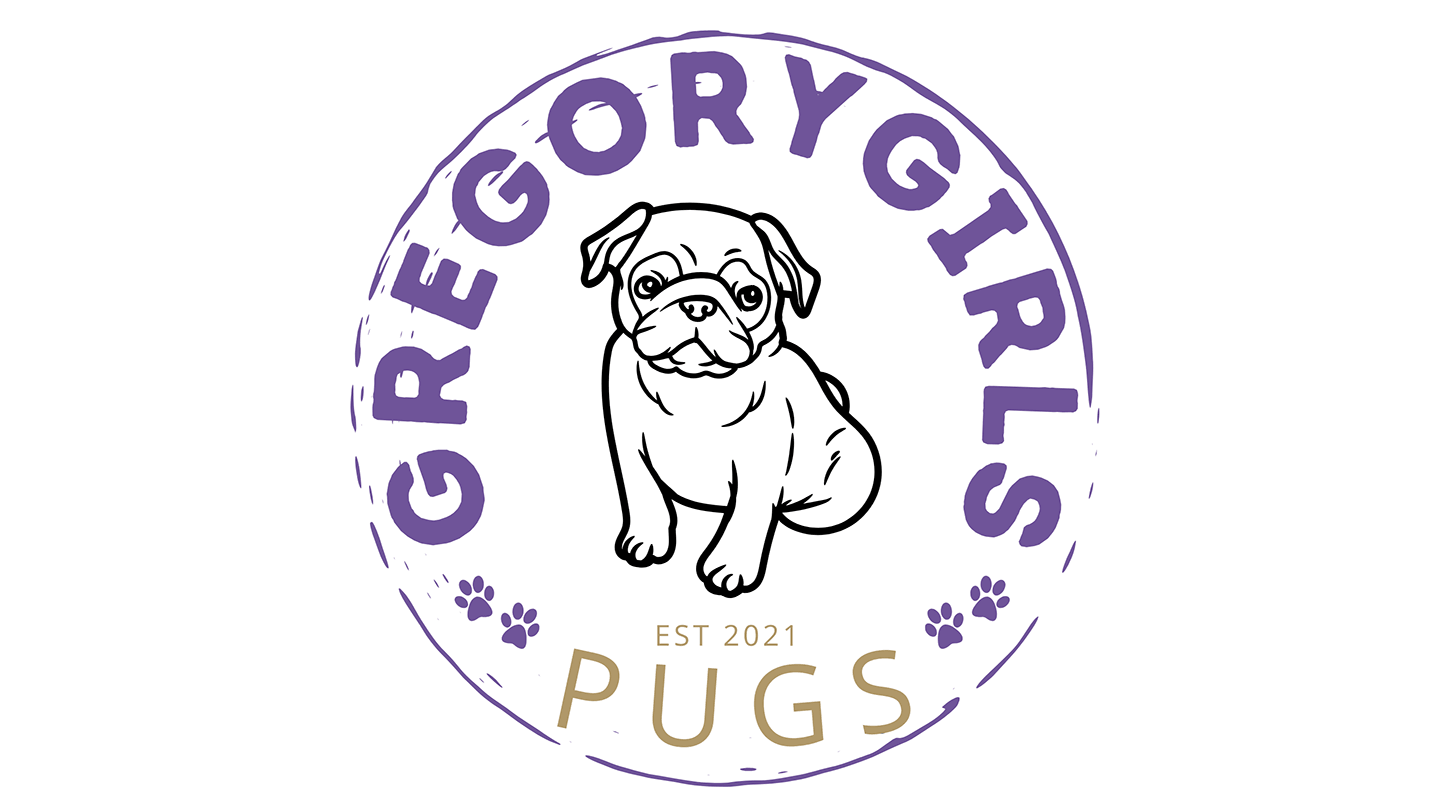 Custom circular logo for Gregory Girls Pugs — black and white pug illustration in the center with purple 'Gregory Girls' text arched above and gold 'Pugs EST 2021' below, accented with paw prints. Playful, clean design by Heather at Genuine Midwest C