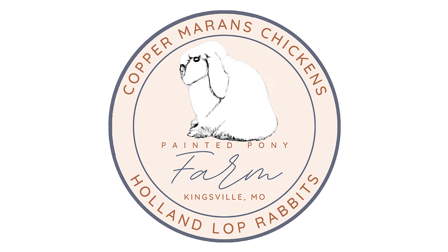 Custom circular logo for Painted Pony Farm — black and white Holland Lop rabbit illustration in the center with 'Copper Marans Chickens' arched above and 'Holland Lop Rabbits' below. Text includes 'Painted Pony Farm' and 'Kingsville, MO'. Warm, farm-