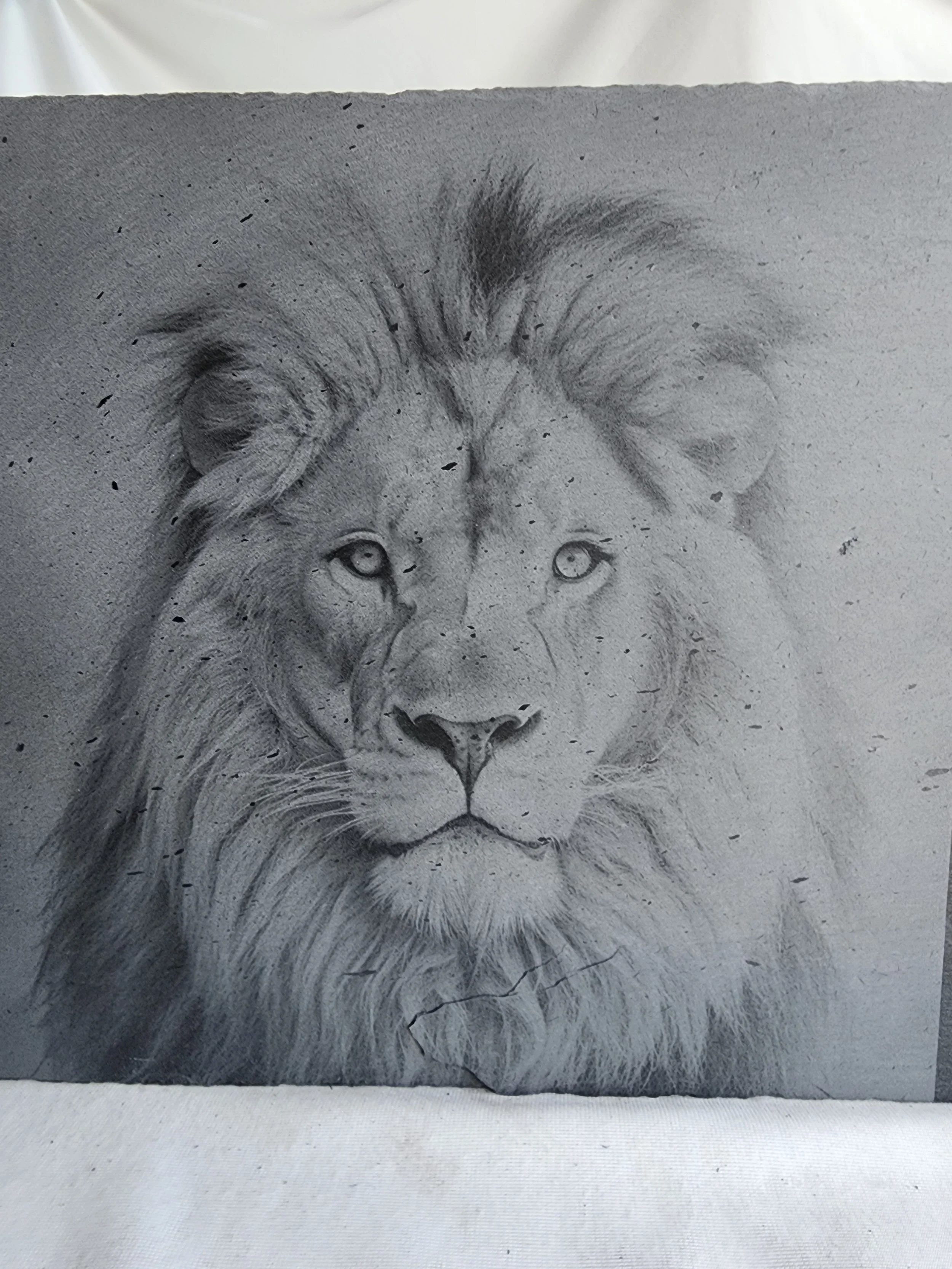 lion uv.jpg