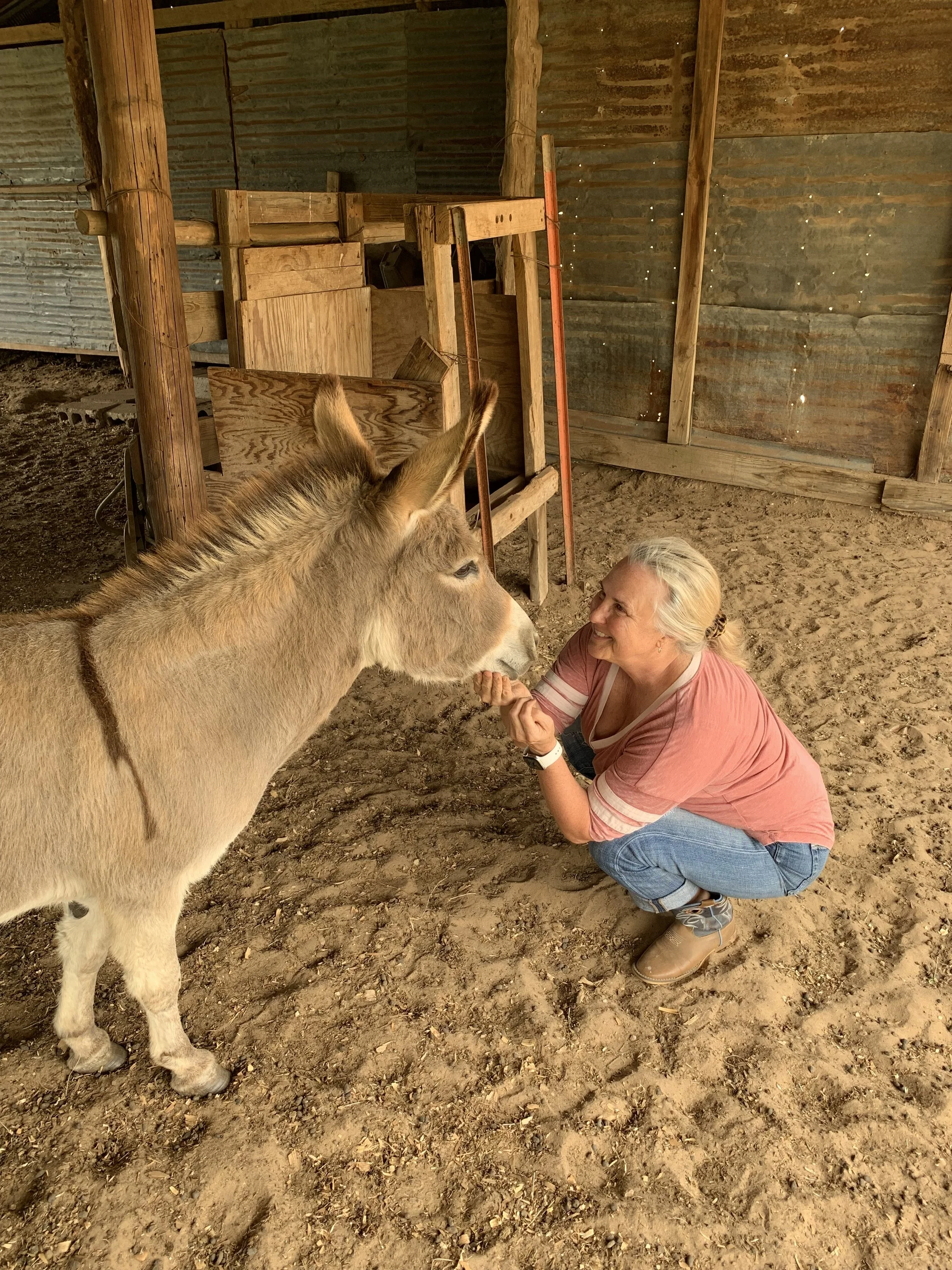 The Smith Farm is now home to 13 rescue animals, including donkeys, goats, dogs & cats.